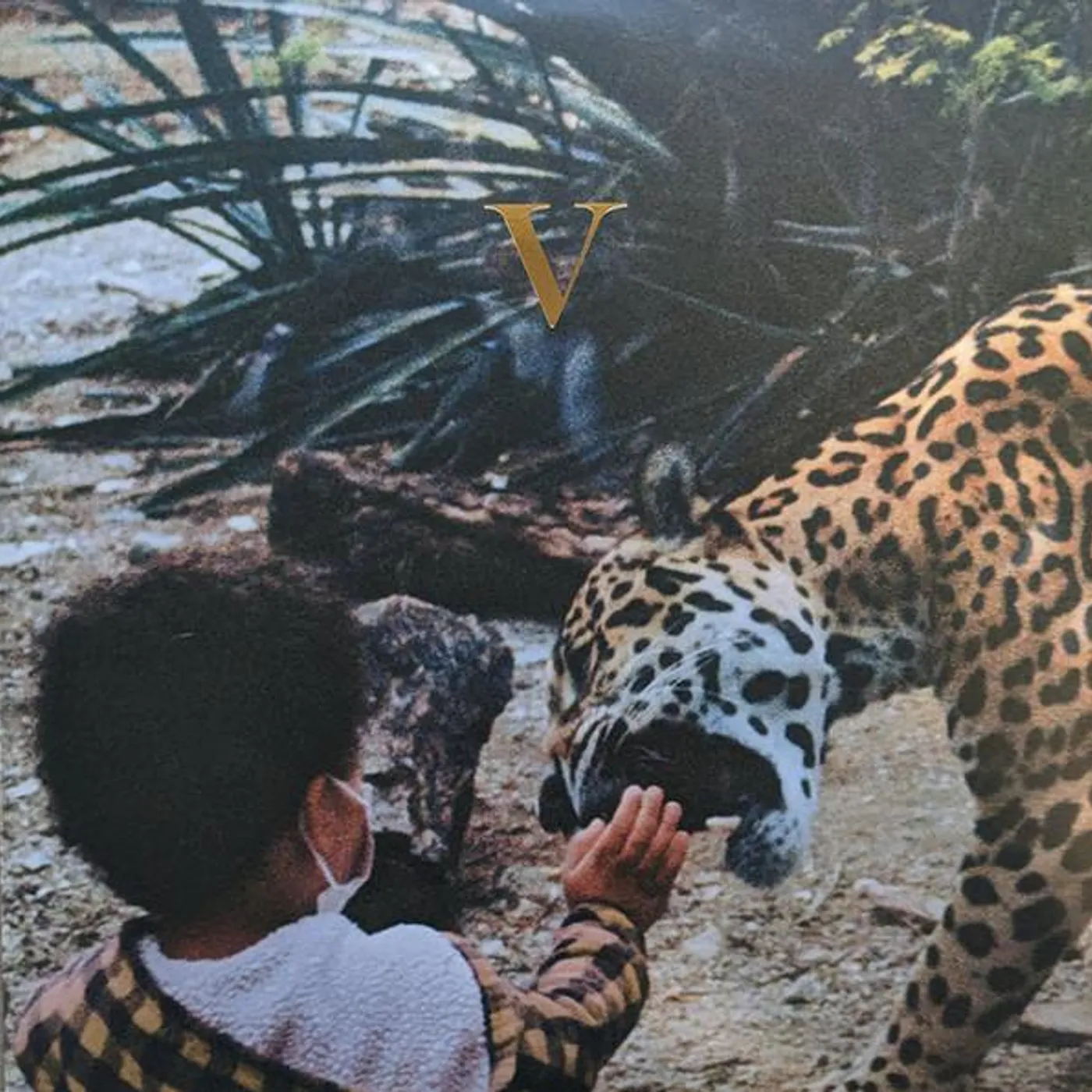 Unknown Mortal Orchestra V (2LP) Vinyl Record