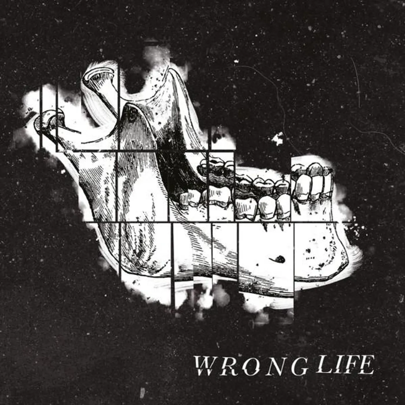 WRONG LIFE Vinyl Record
