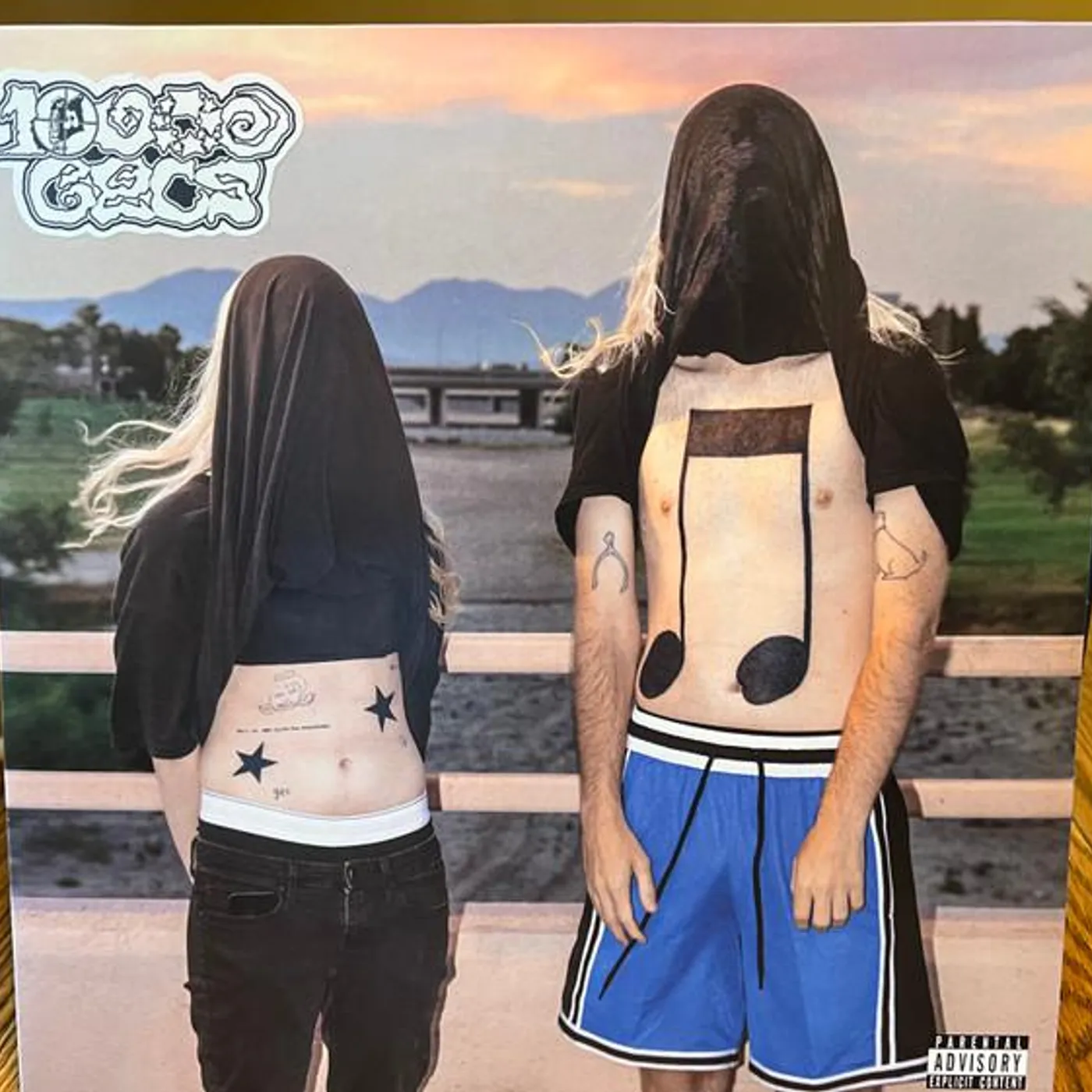 100 gecs 10,000 gecs Vinyl Record