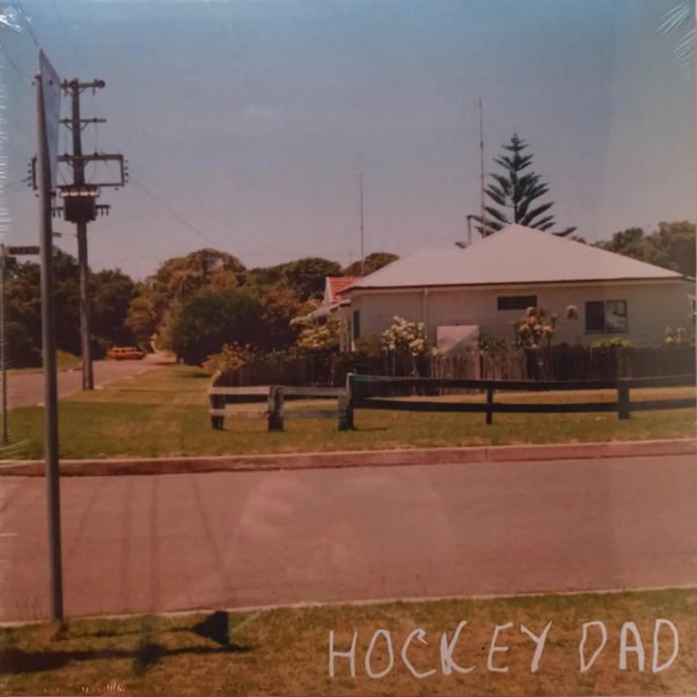 Hockey Dad DREAMIN Vinyl Record