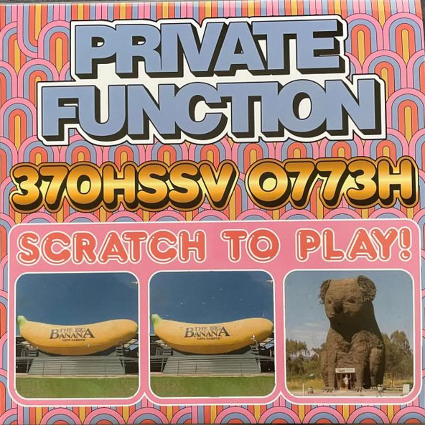 Private Function 370HSSV 0773H Vinyl Record