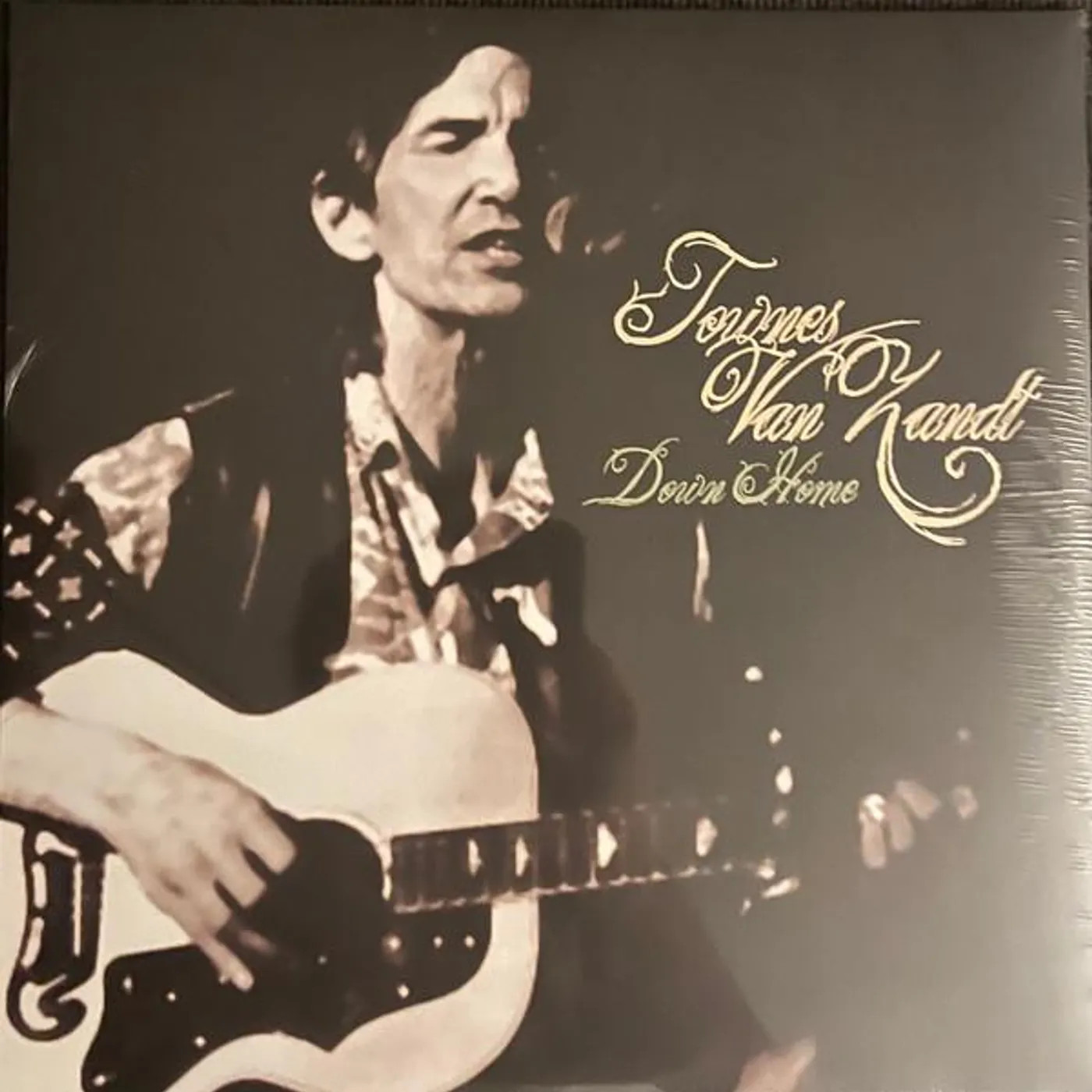 Townes Van Zandt DOWN HOME (2LP) Vinyl Record