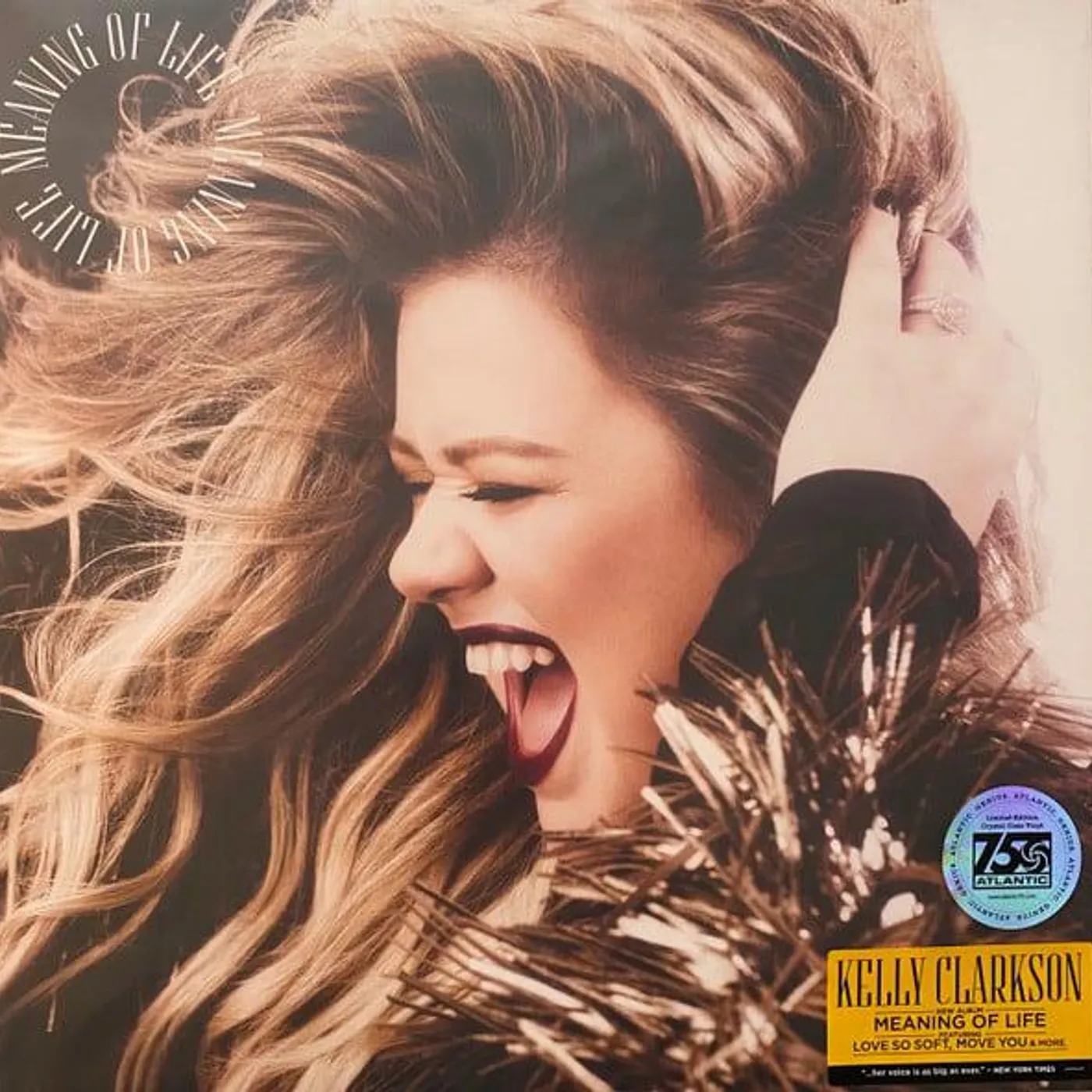 Kelly Clarkson Meaning of Life Vinyl Record