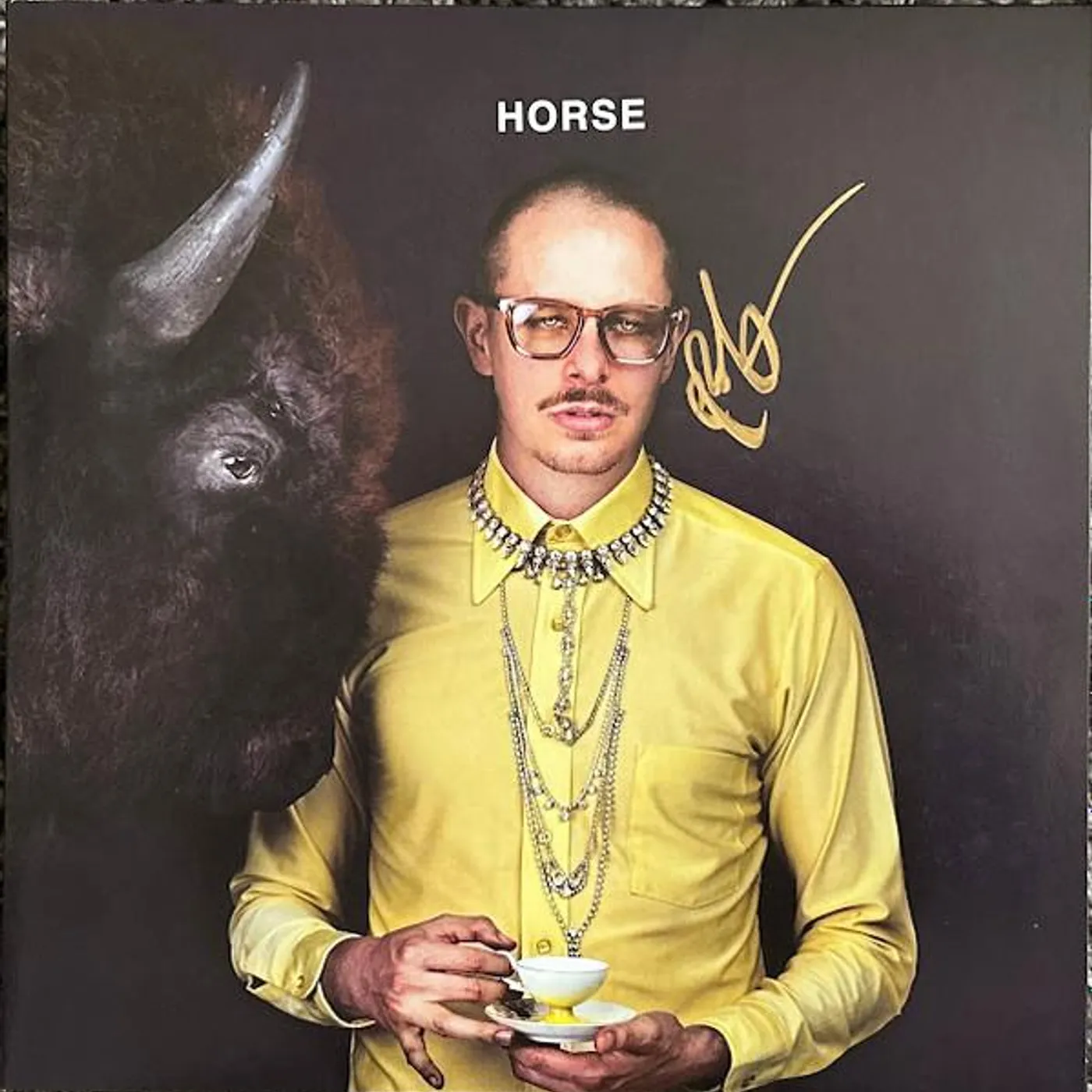 Prof HORSE Vinyl Record