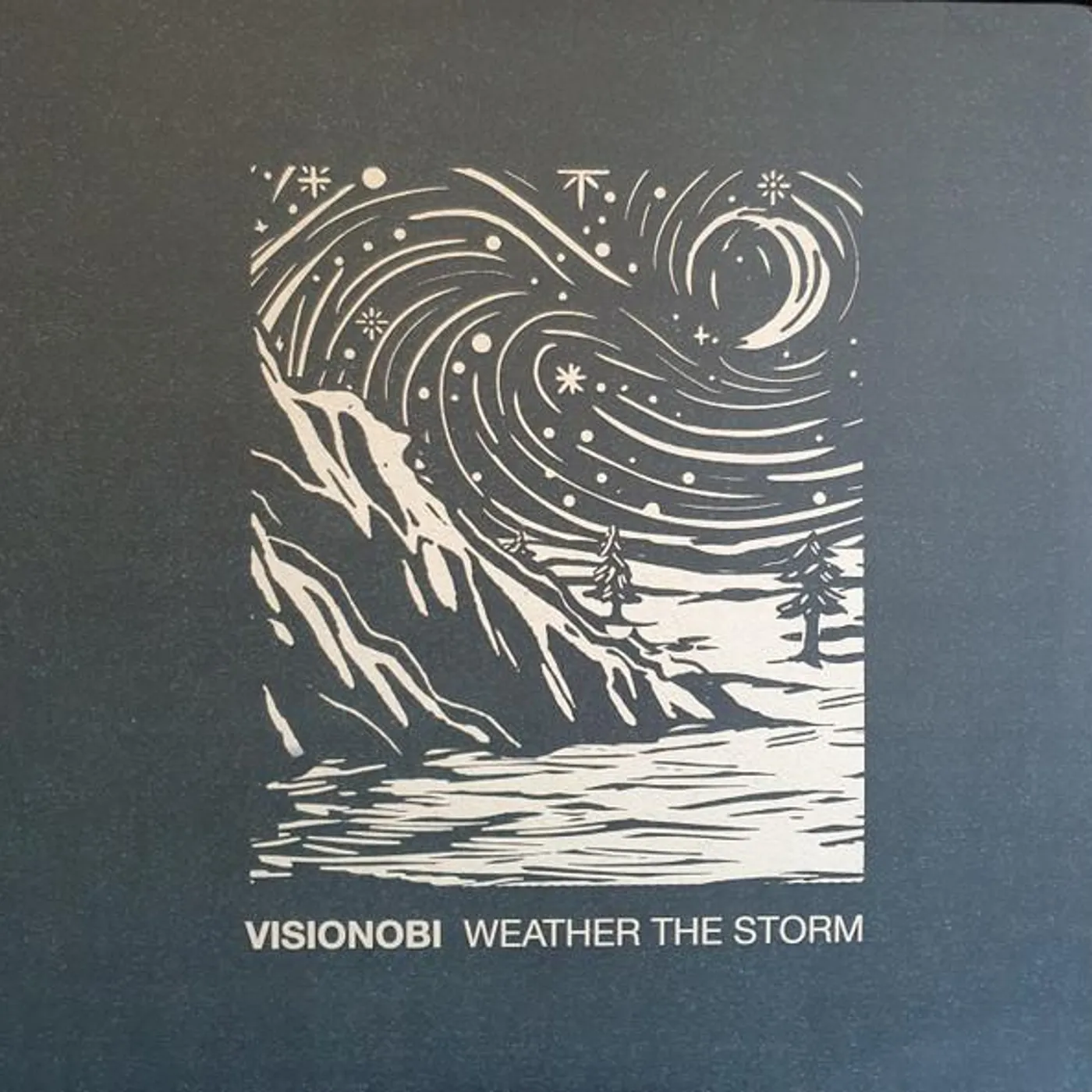 Visionobi Weather The Storm (2LP) Vinyl Record