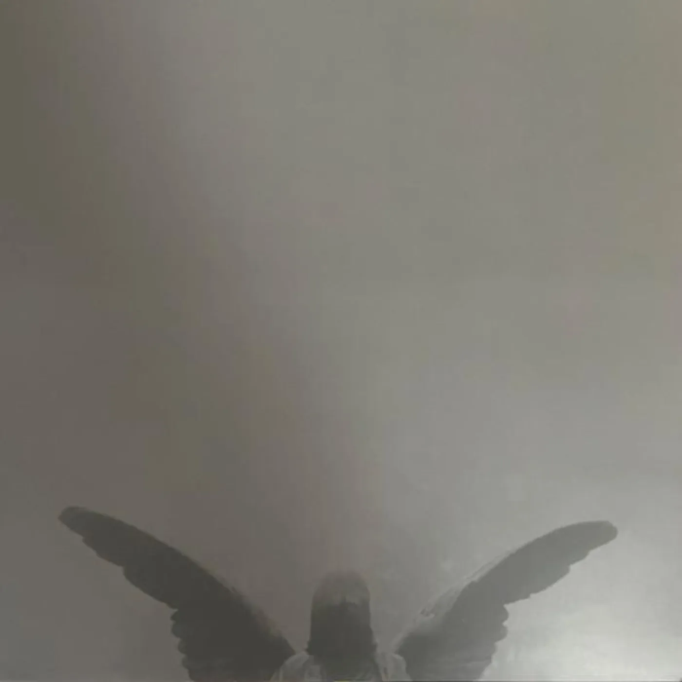 Jesu Pity/Piety (White W/ Grey Or Gold Splatter Vinyl) Vinyl Record