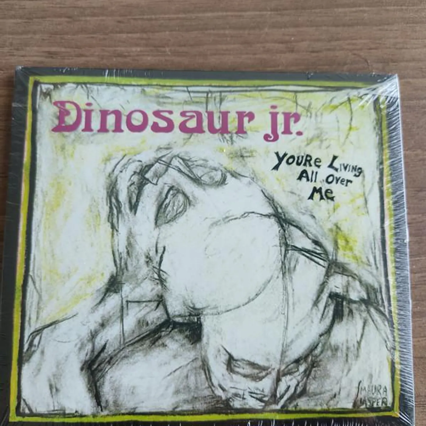 Dinosaur Jr. YOU'RE LIVING ALL OVER ME CD