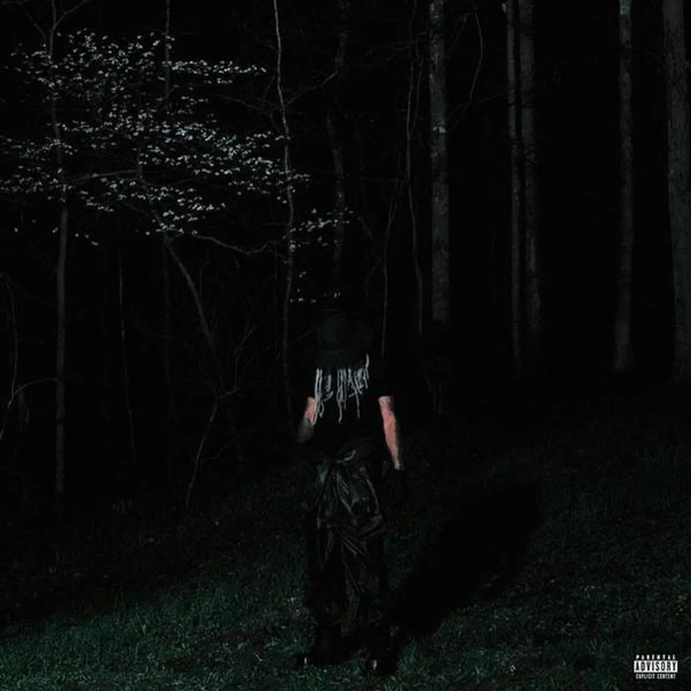 Destroy Lonely IF LOOKS COULD KILL (2CD) CD