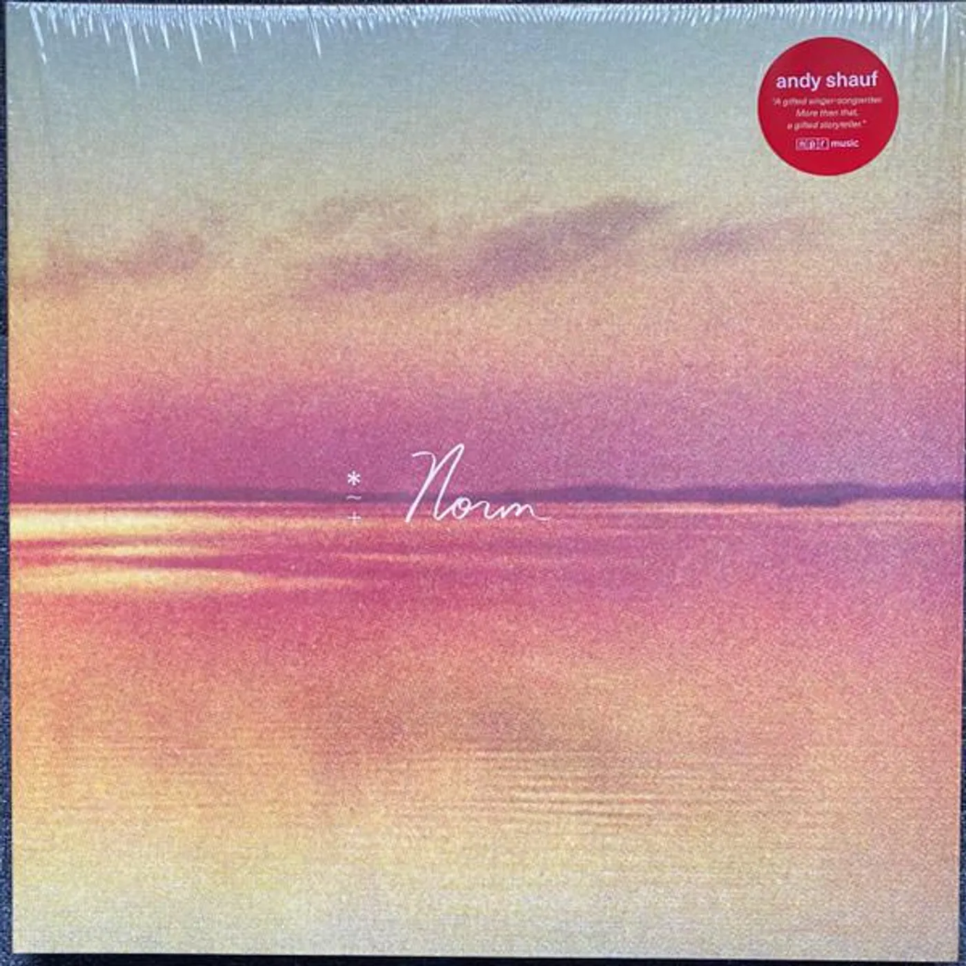 Andy Shauf NORM Vinyl Record