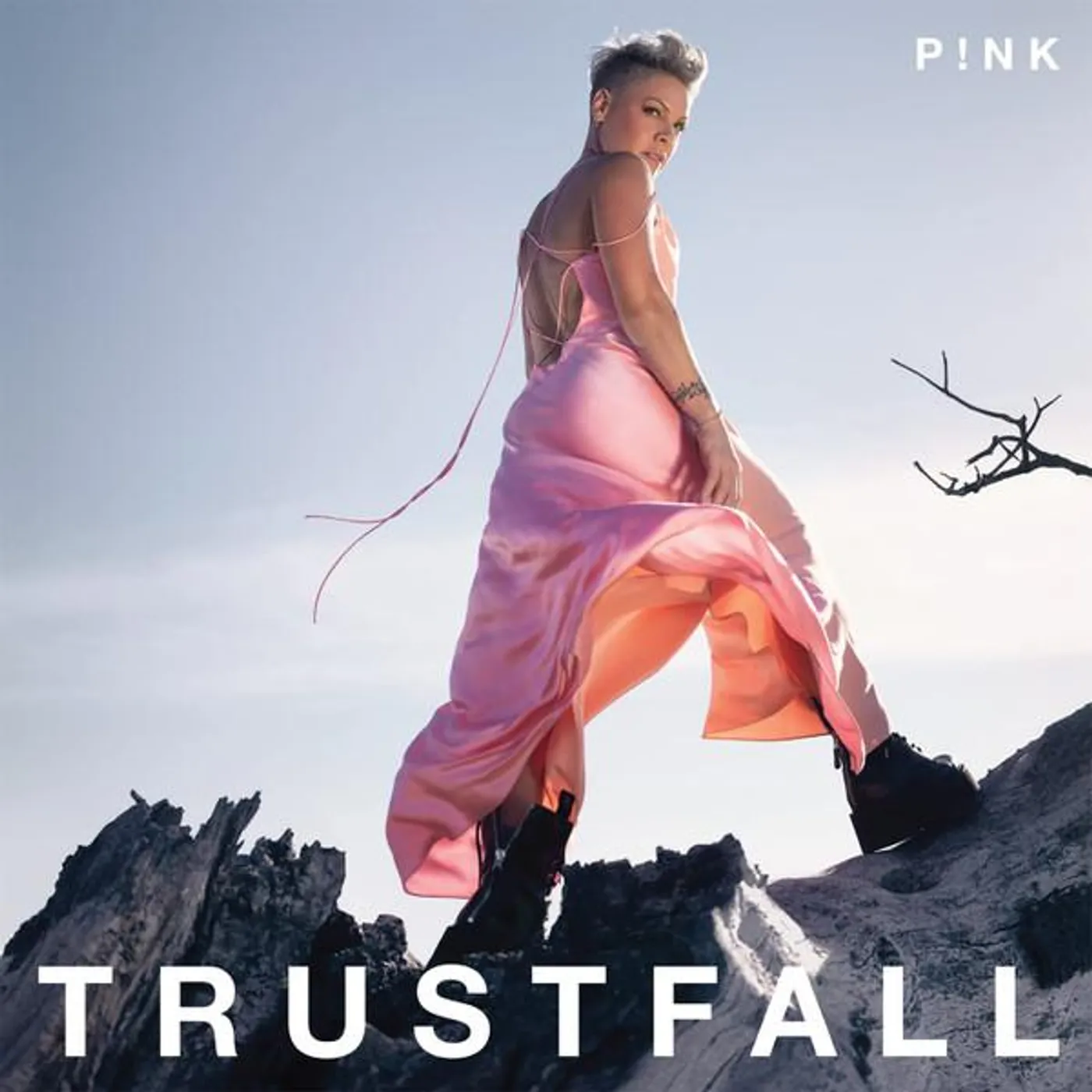 P!nk TRUSTFALL CD