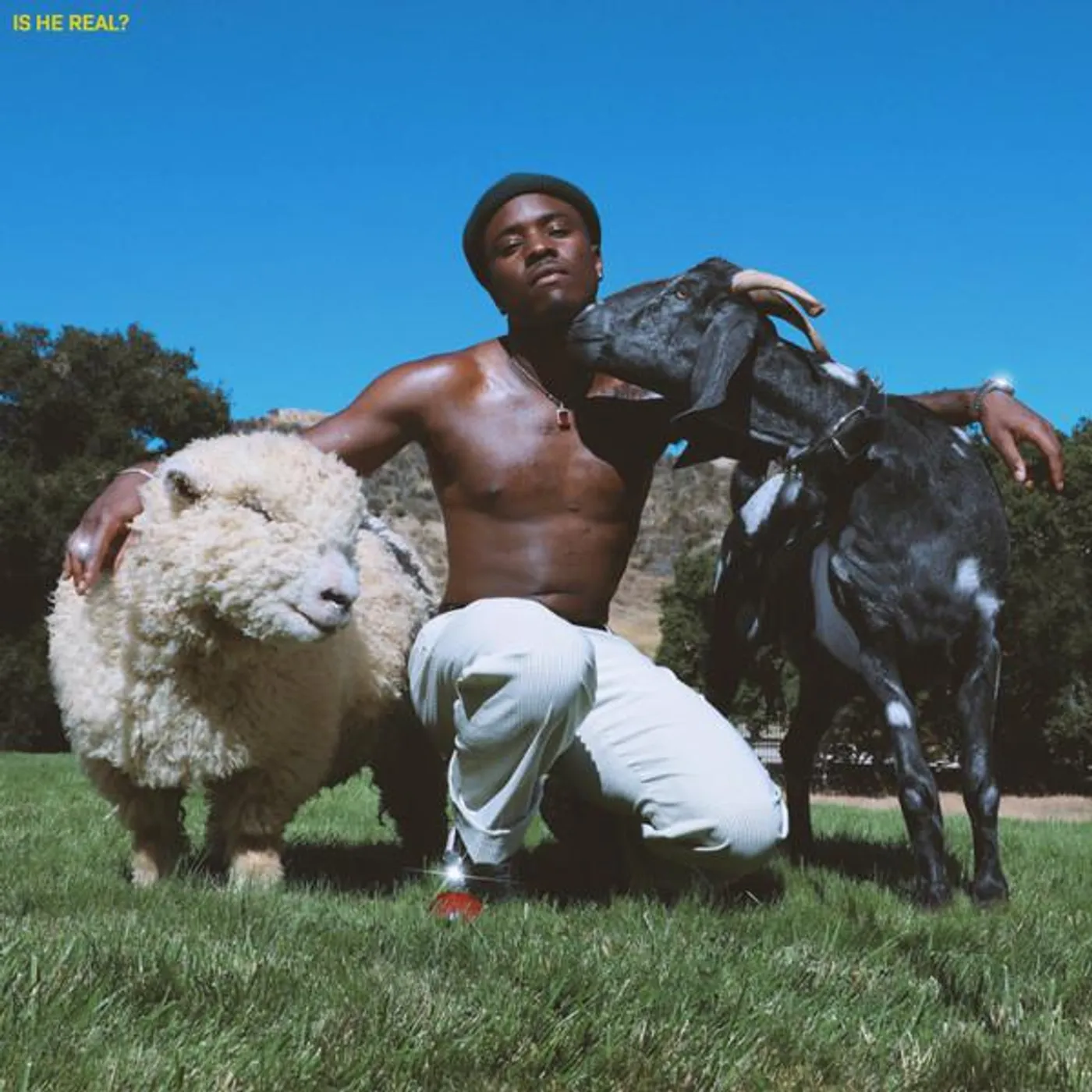 IDK Is He Real? Vinyl Record