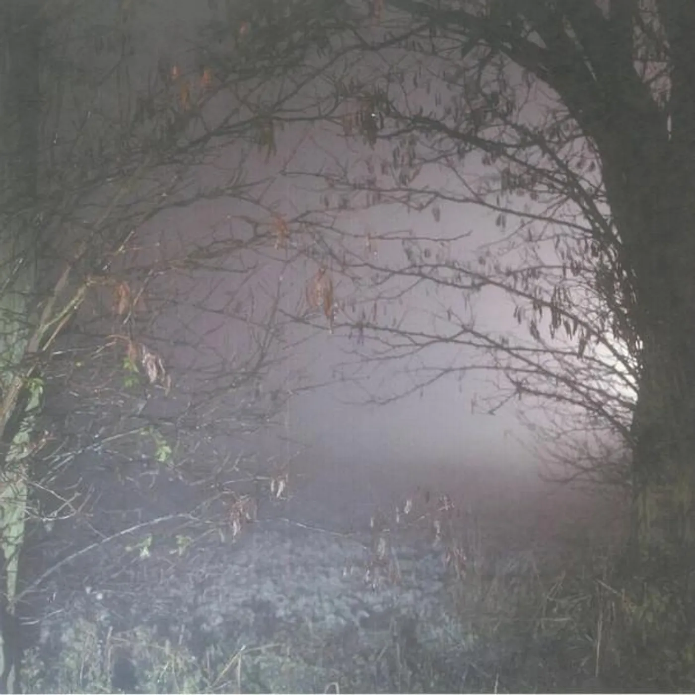 Earth Trax Closer Now Vinyl Record