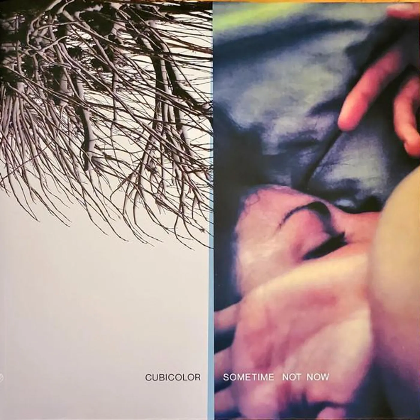 Cubicolor Sometime Not Now Vinyl Record