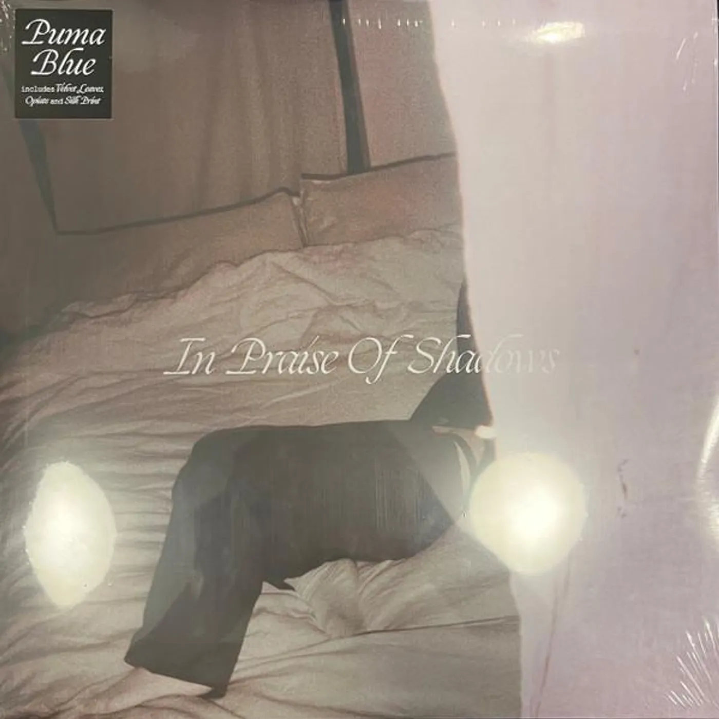 Puma Blue IN PRAISE OF SHADOWS (2LP) Vinyl Record