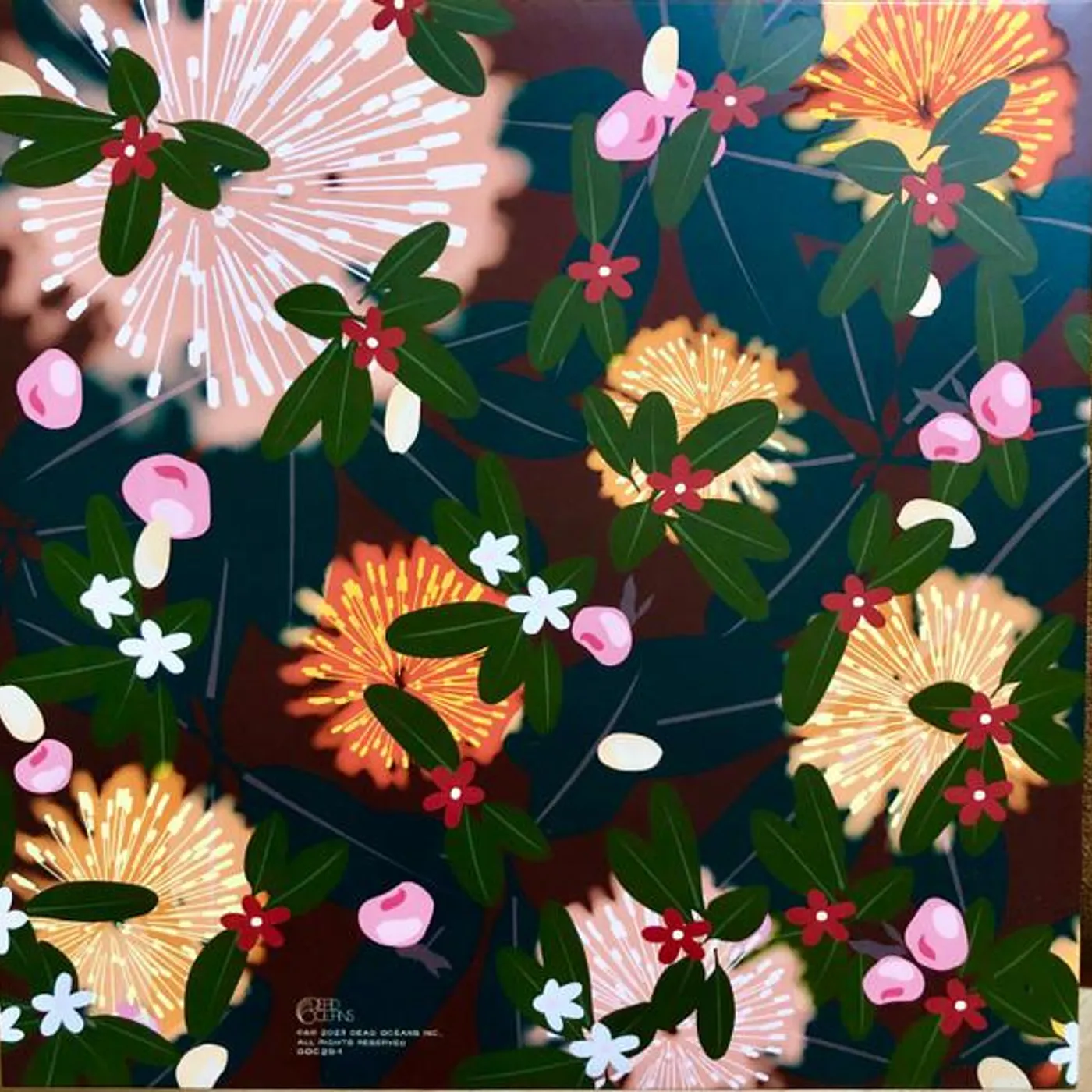 Bright Eyes NOISE FLOOR (RARITIES: 1998-2005) (CHAMPAGNE WAVE VINYL/2LP) Vinyl Record