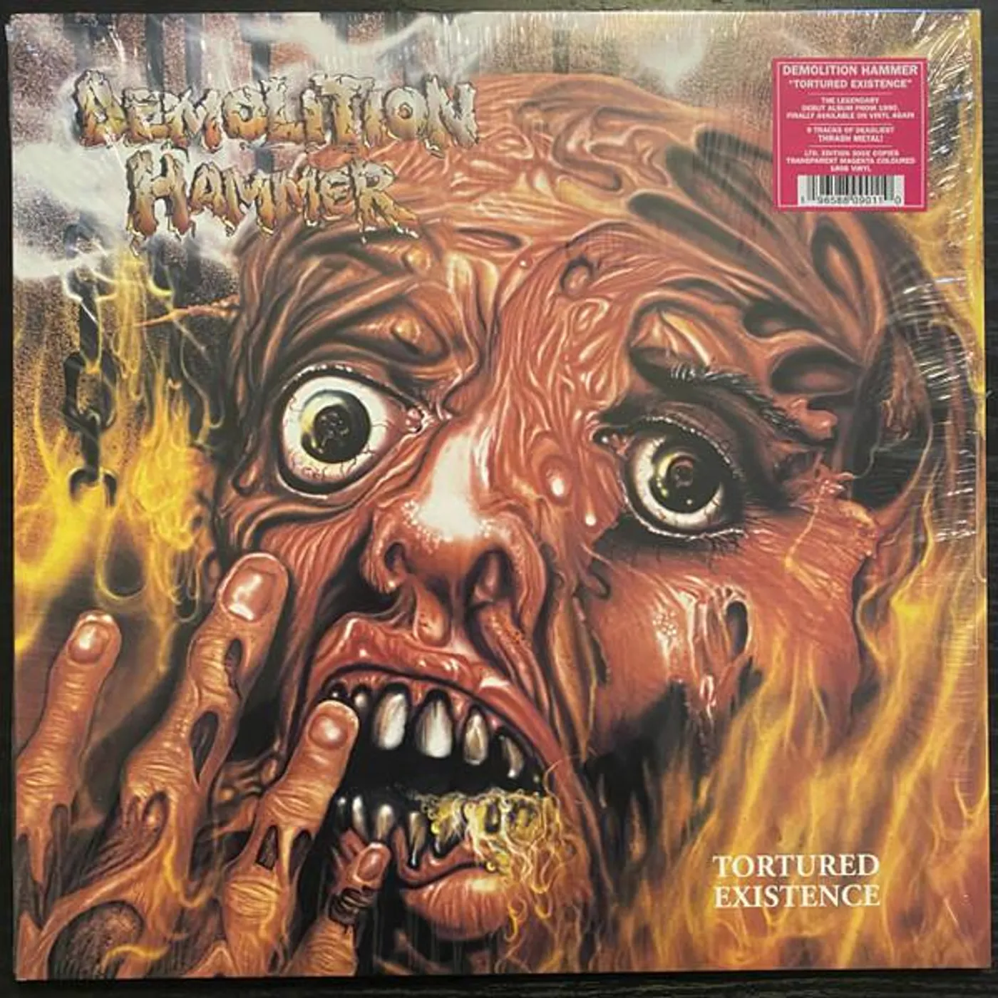 Demolition Hammer TORTURED EXISTENCE Vinyl Record