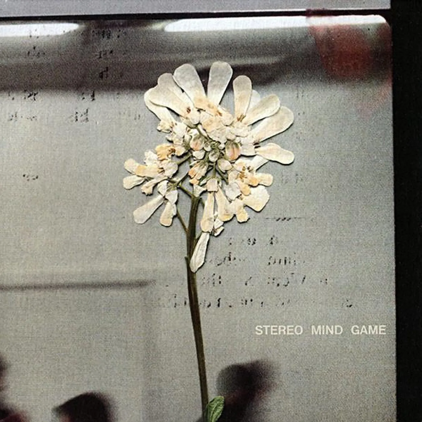 Daughter STEREO MIND GAME CD