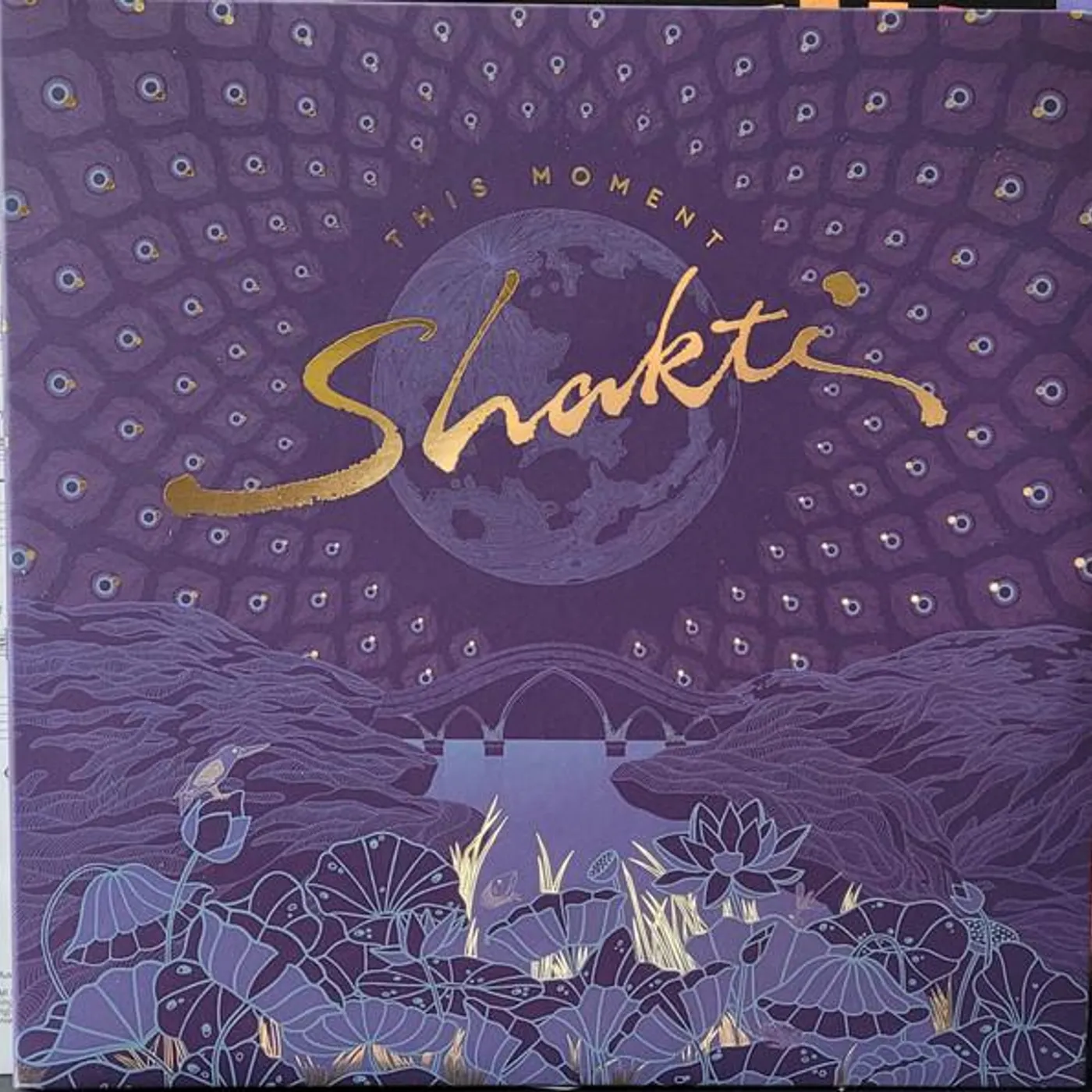 Shakti THIS MOMENT (2LP) Vinyl Record