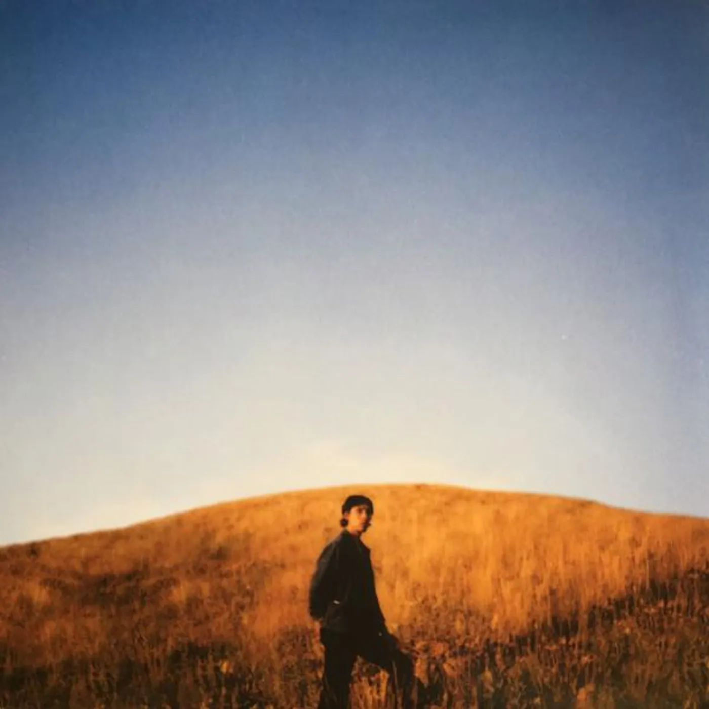 Sam Burton DEAR DEPARTED Vinyl Record