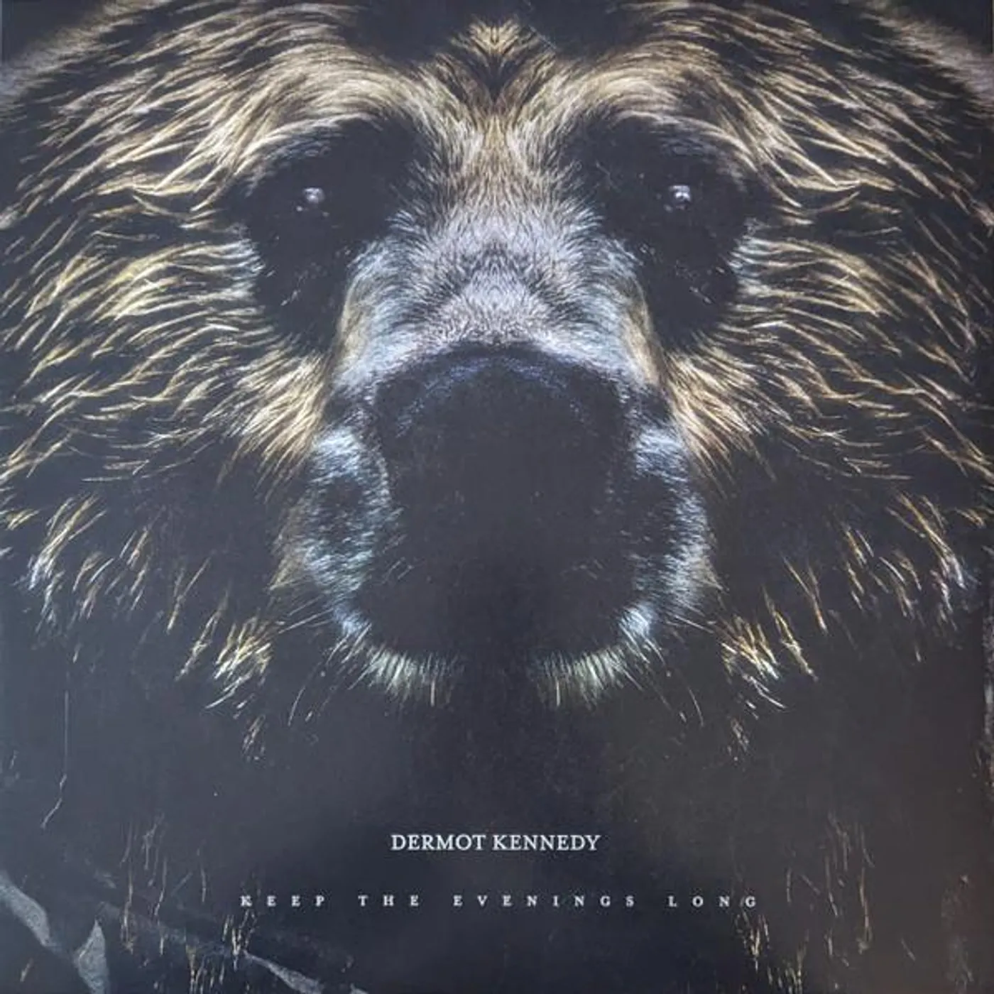 Dermot Kennedy KEEP THE EVENINGS LONG Vinyl Record