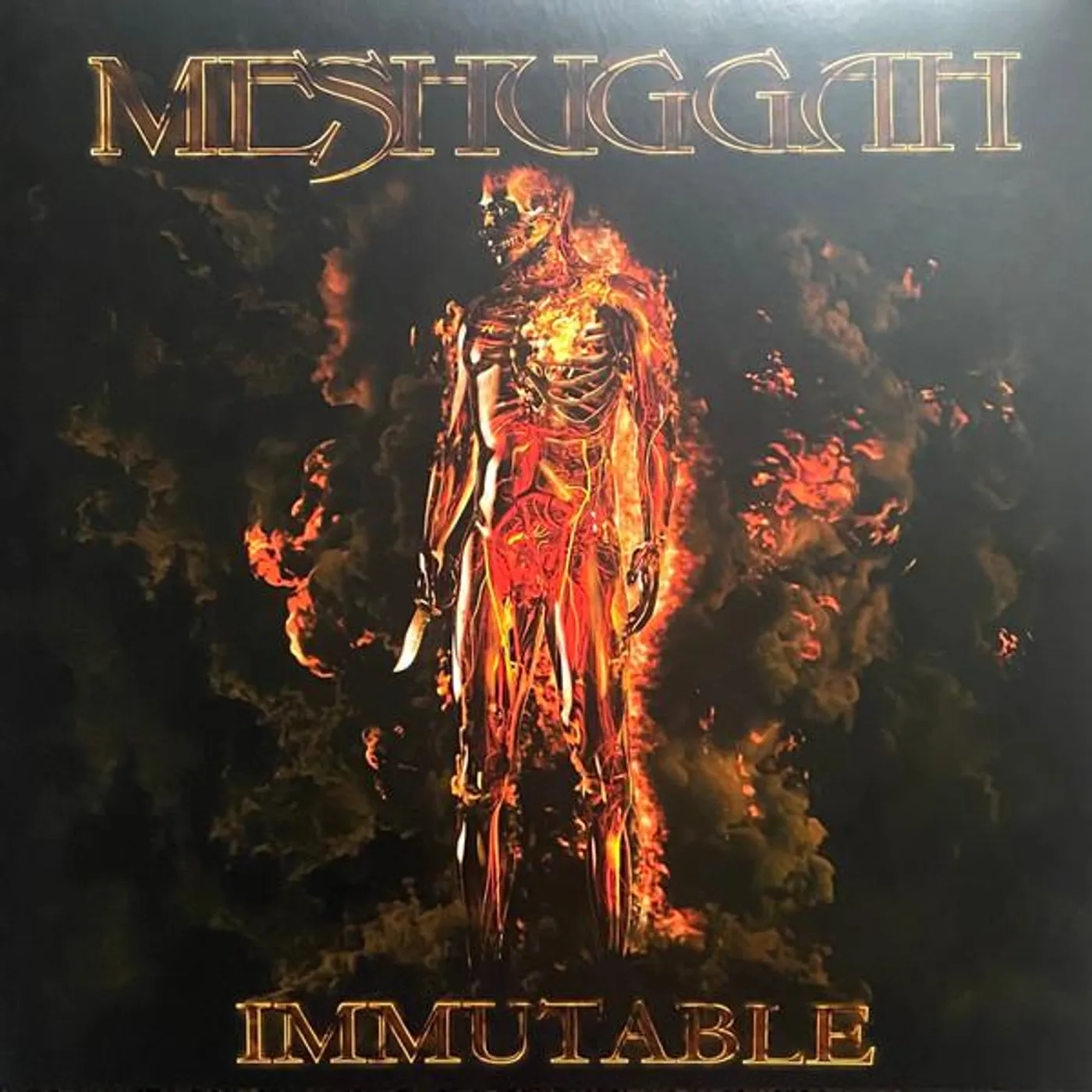 Meshuggah Immutable (X) (Orange W/ Circle Black Vinyl/2lp) Vinyl Record