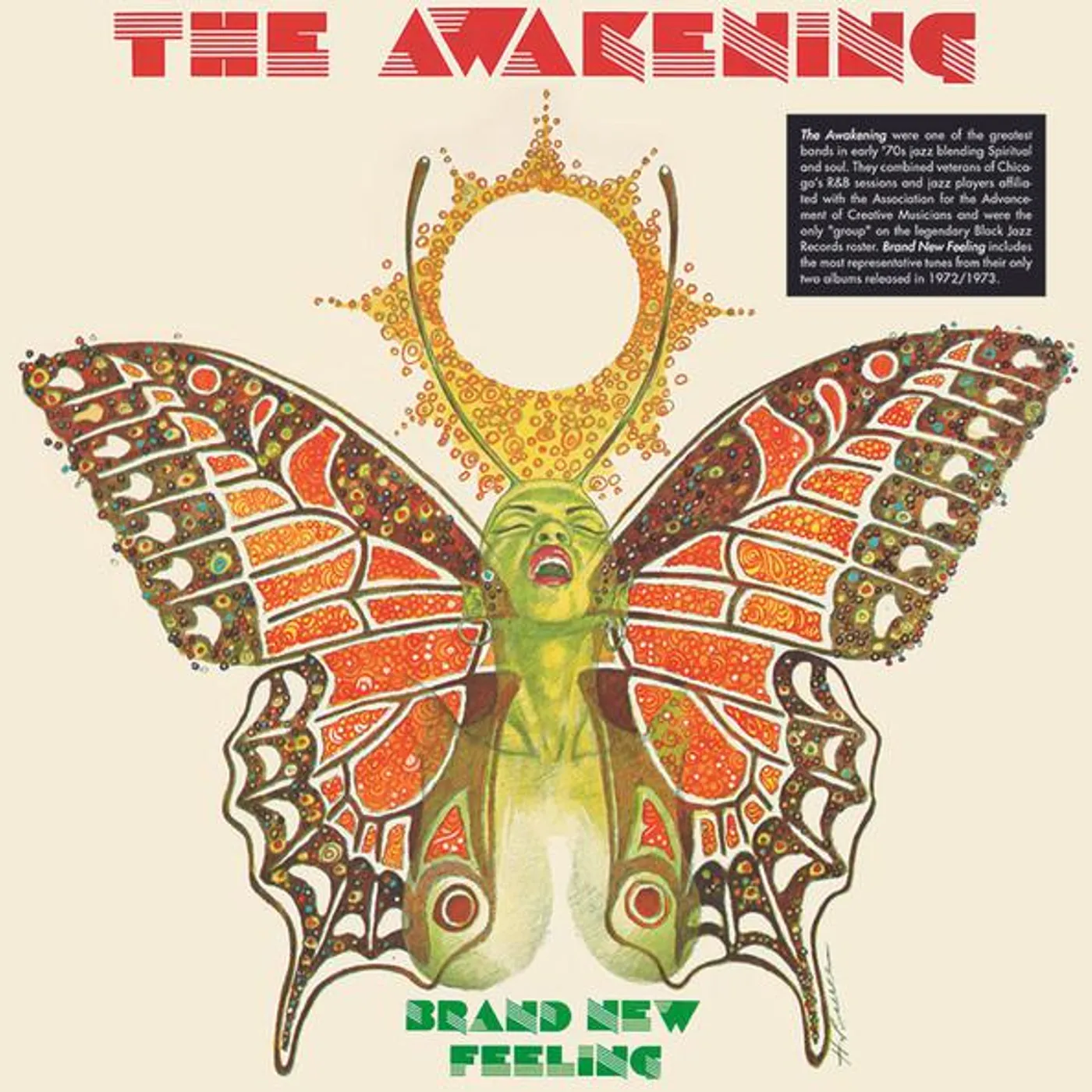 The Awakening BRAND NEW FEELING Vinyl Record