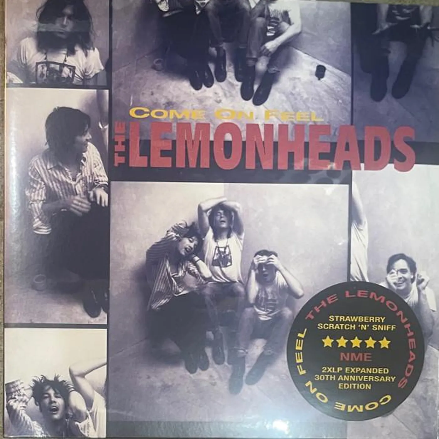 COME ON FEEL THE LEMONHEADS Vinyl Record