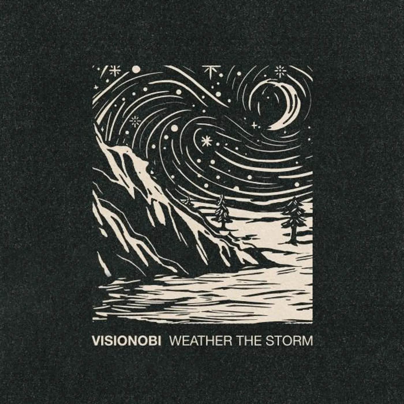 Visionobi WEATHER THE STORM CD