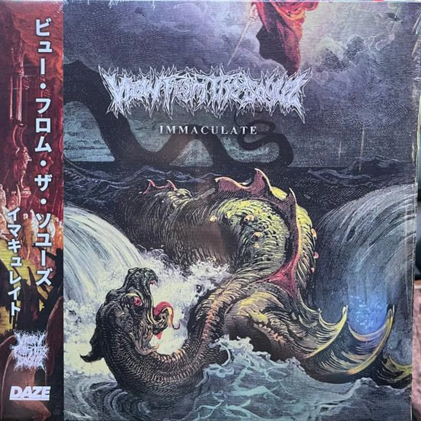 View From The Soyuz IMMACULATE Vinyl Record