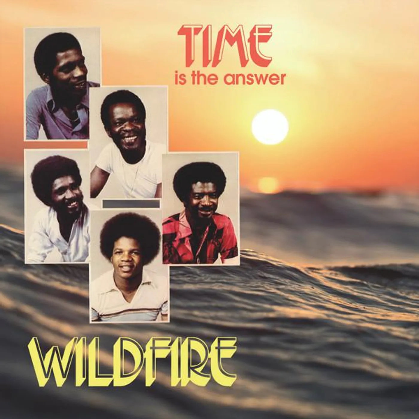 Wildfire TIME IS THE ANSWER Vinyl Record