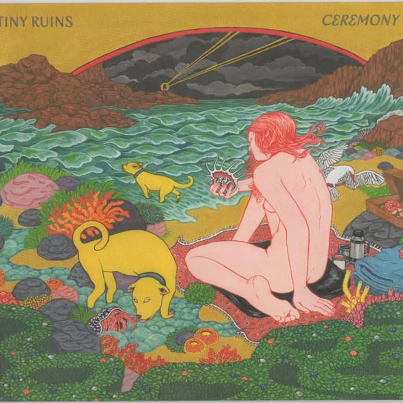 Tiny Ruins CEREMONY CD
