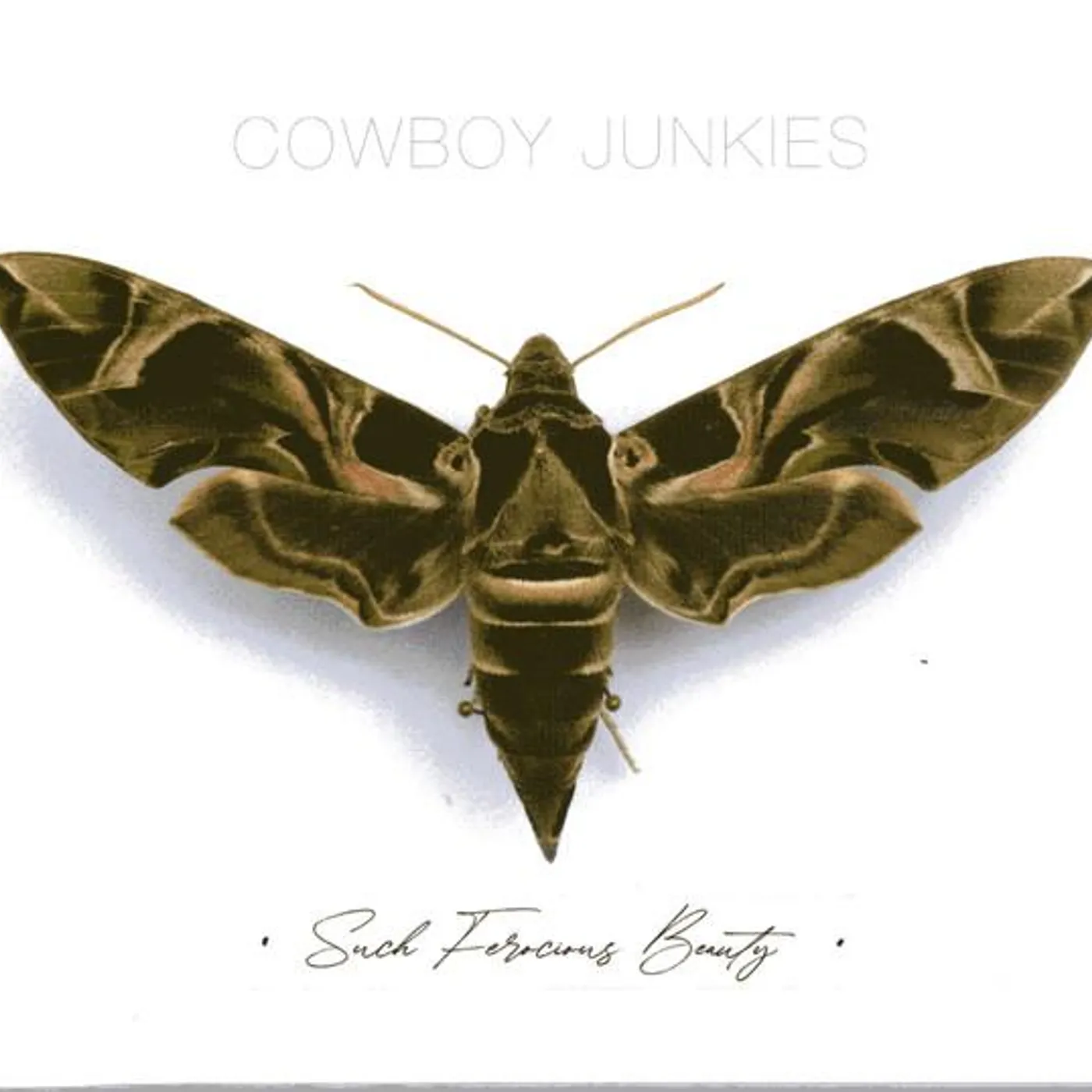Cowboy Junkies SUCH FEROCIOUS BEAUTY CD