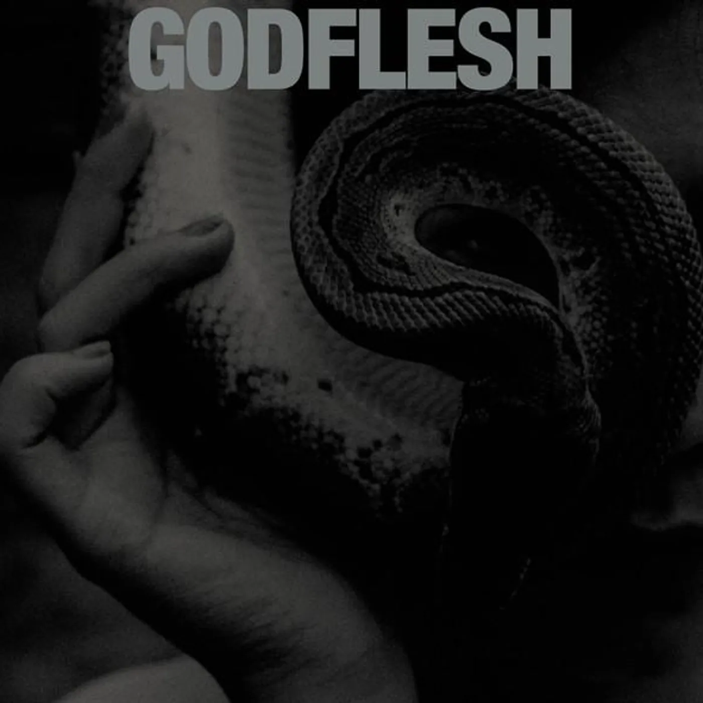 Godflesh PURGE CD
