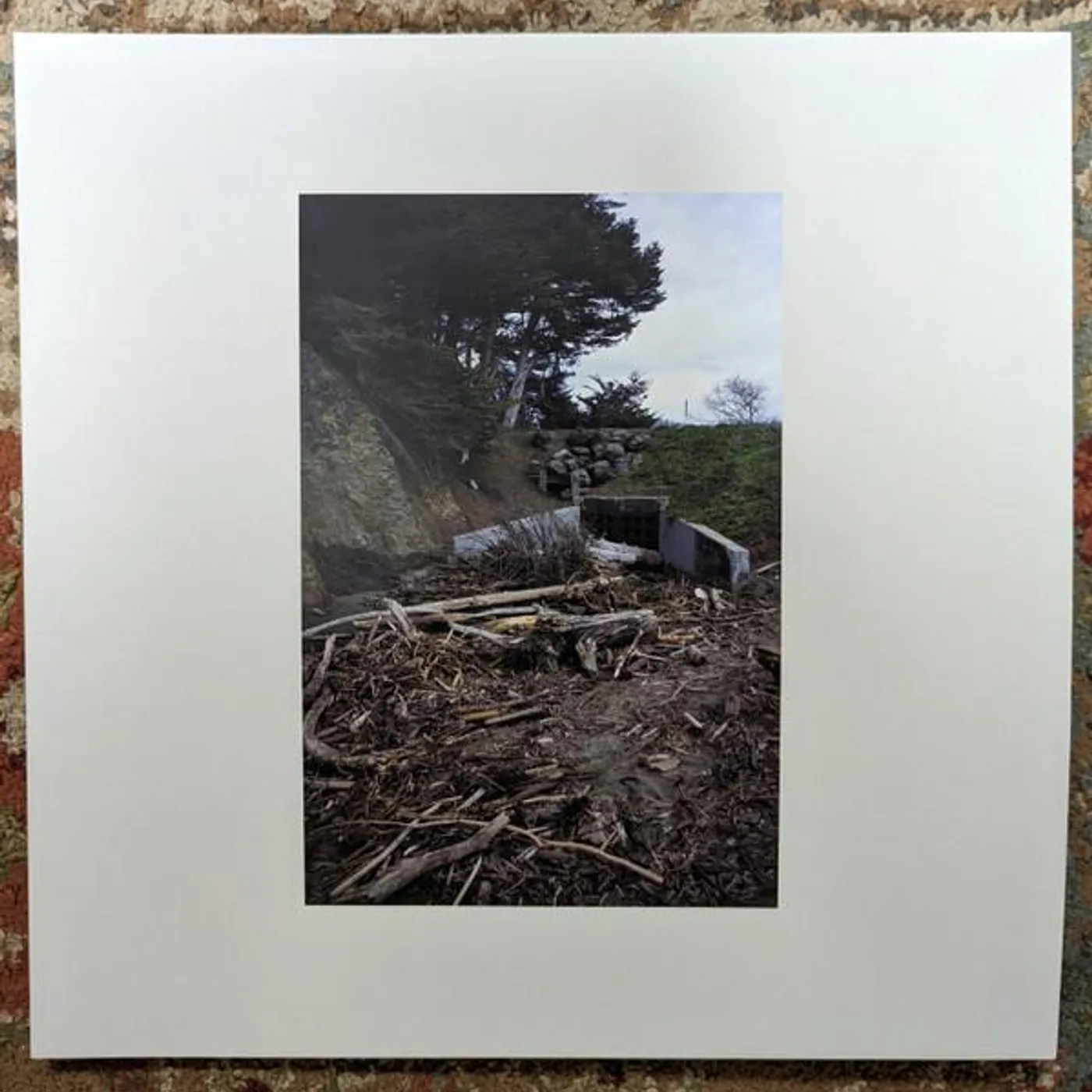 Mac DeMarco FIVE EASY HOT DOGS Vinyl Record