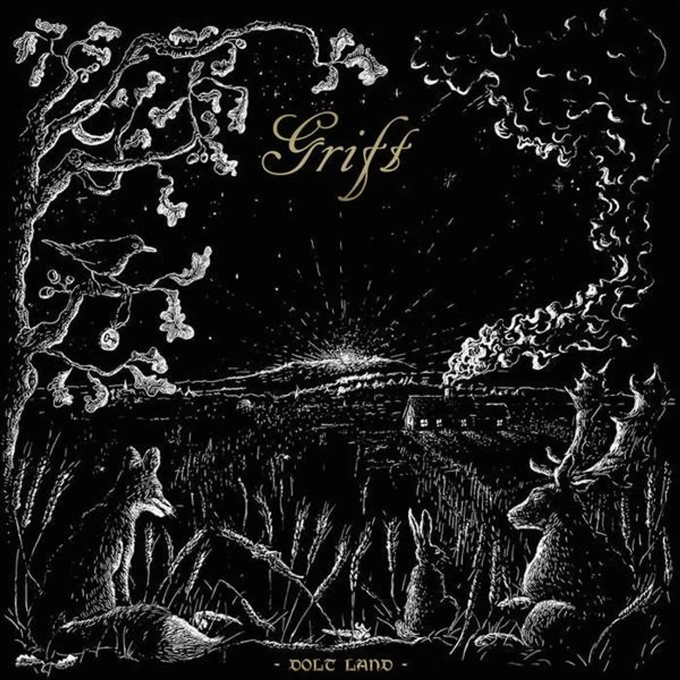 Grift DOLT LAND Vinyl Record