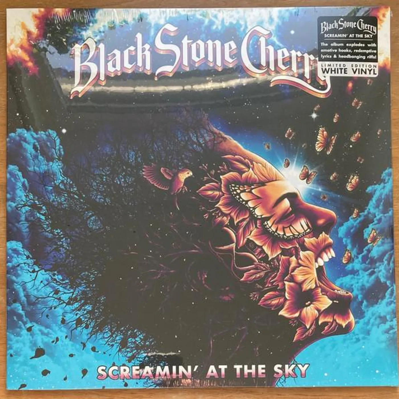 Black Stone Cherry SCREAMIN' AT THE SKY Vinyl Record