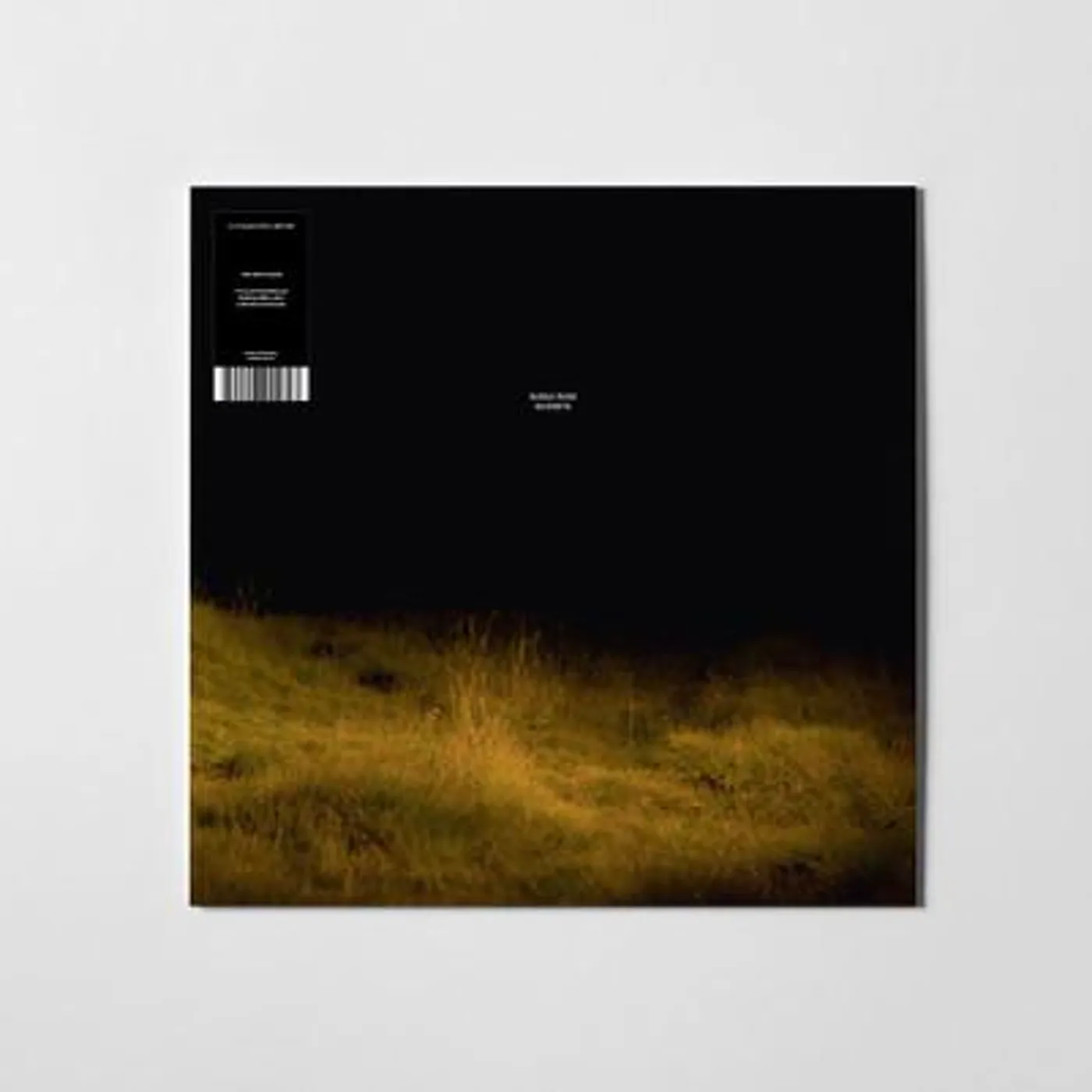 Hania Rani GHOSTS (TRANSPARENT CLEAR VINYL/2LP) Vinyl Record