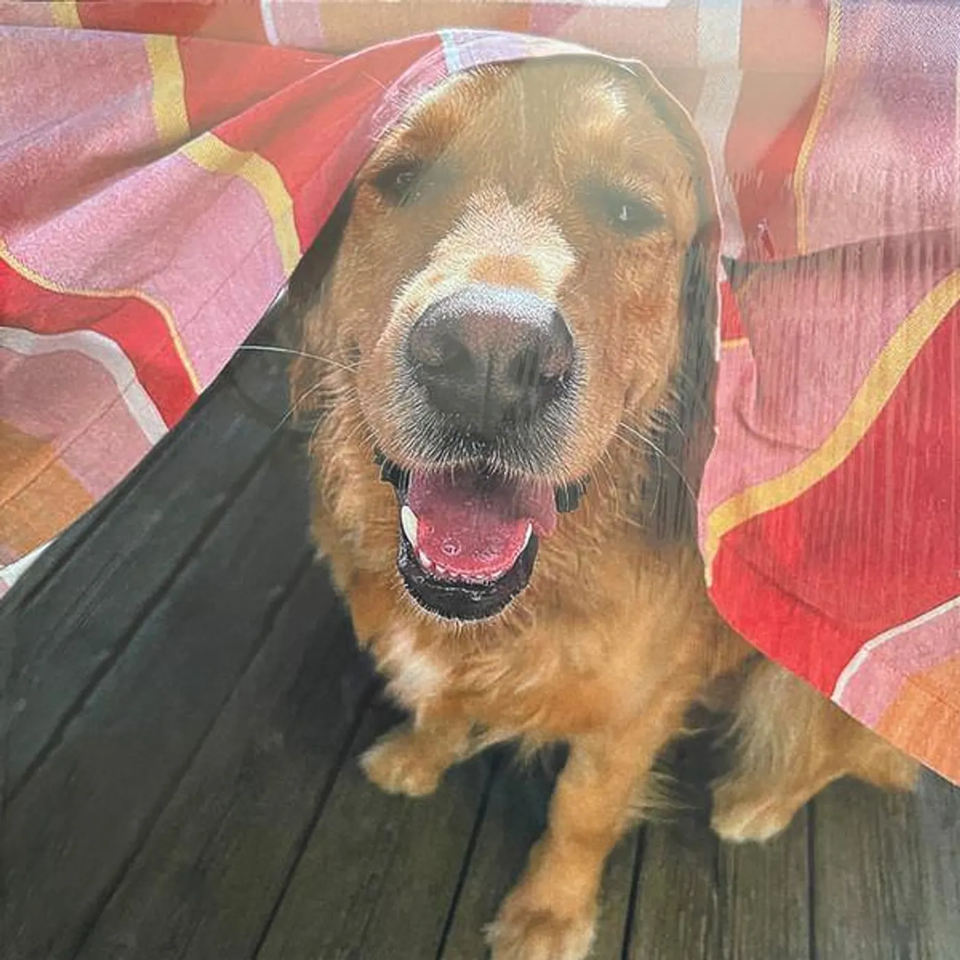 It It Anita MOUCHIE Vinyl Record