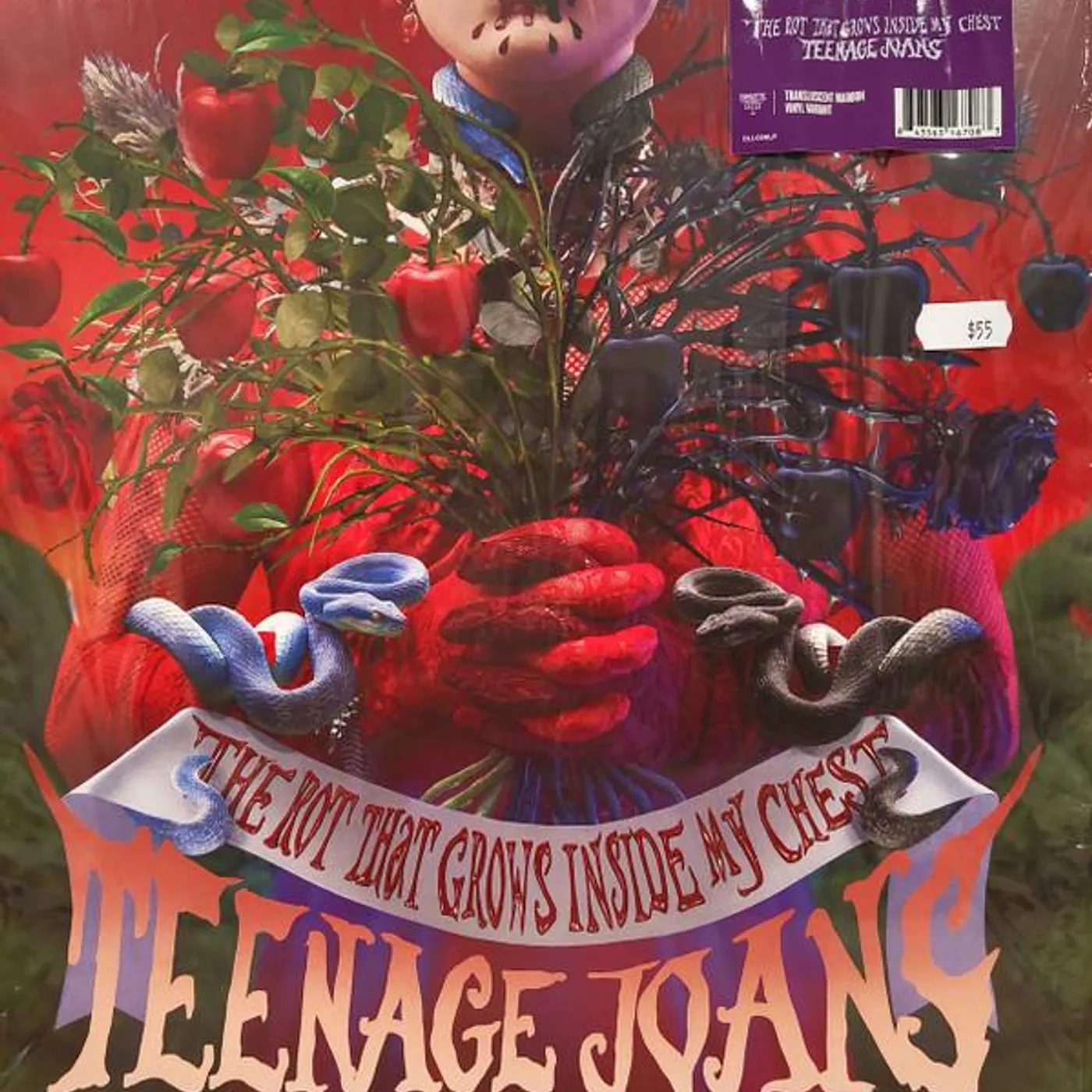 Teenage Joans ROT THAT GROWS INSIDE MY CHEST Vinyl Record