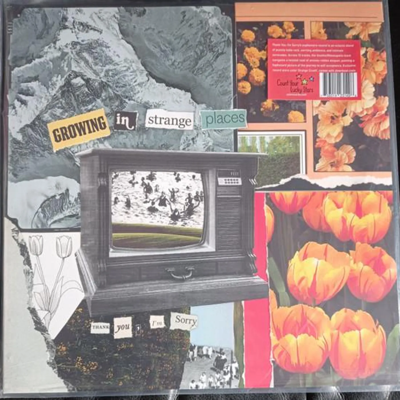 Thank You, I'm Sorry GROWING IN STRANGE PLACES (ORANGE CRUSH VINYL) Vinyl Record