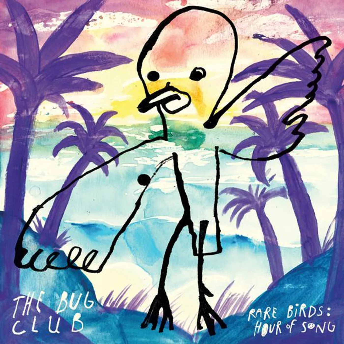 The Bug Club RARE BIRDS: HOUR OF SONG (2LP) Vinyl Record