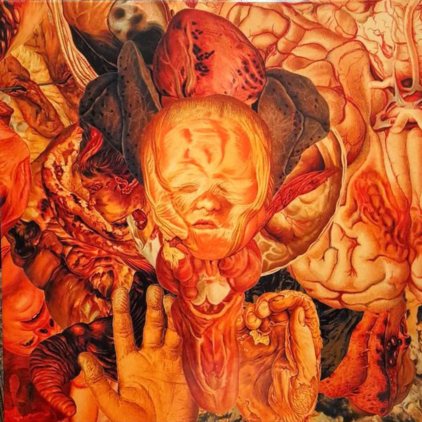 Festerdecay REALITY ROTTEN TO THE CORE Vinyl Record