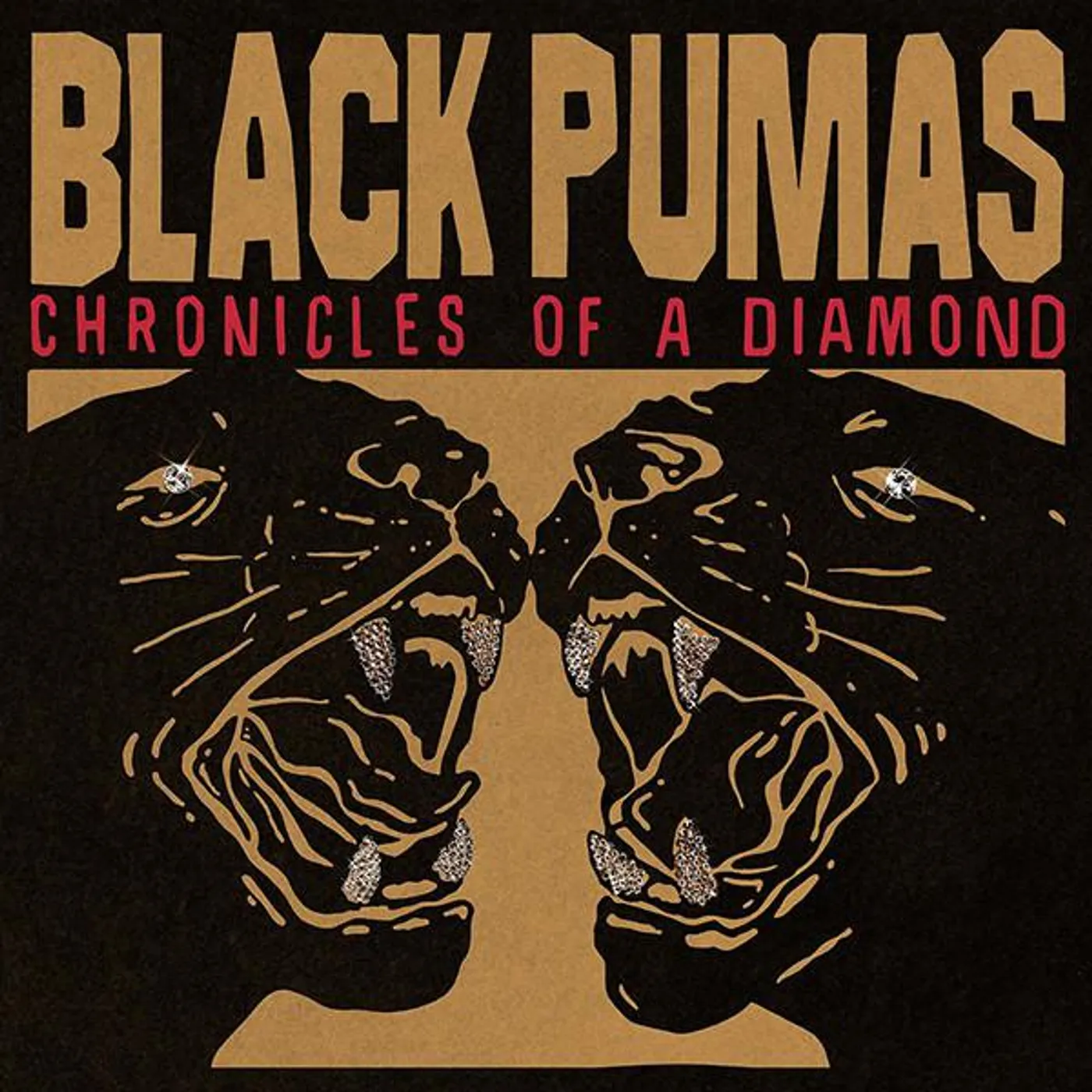 Black Pumas CHRONICLES OF A DIAMOND (CLEAR VINYL) Vinyl Record