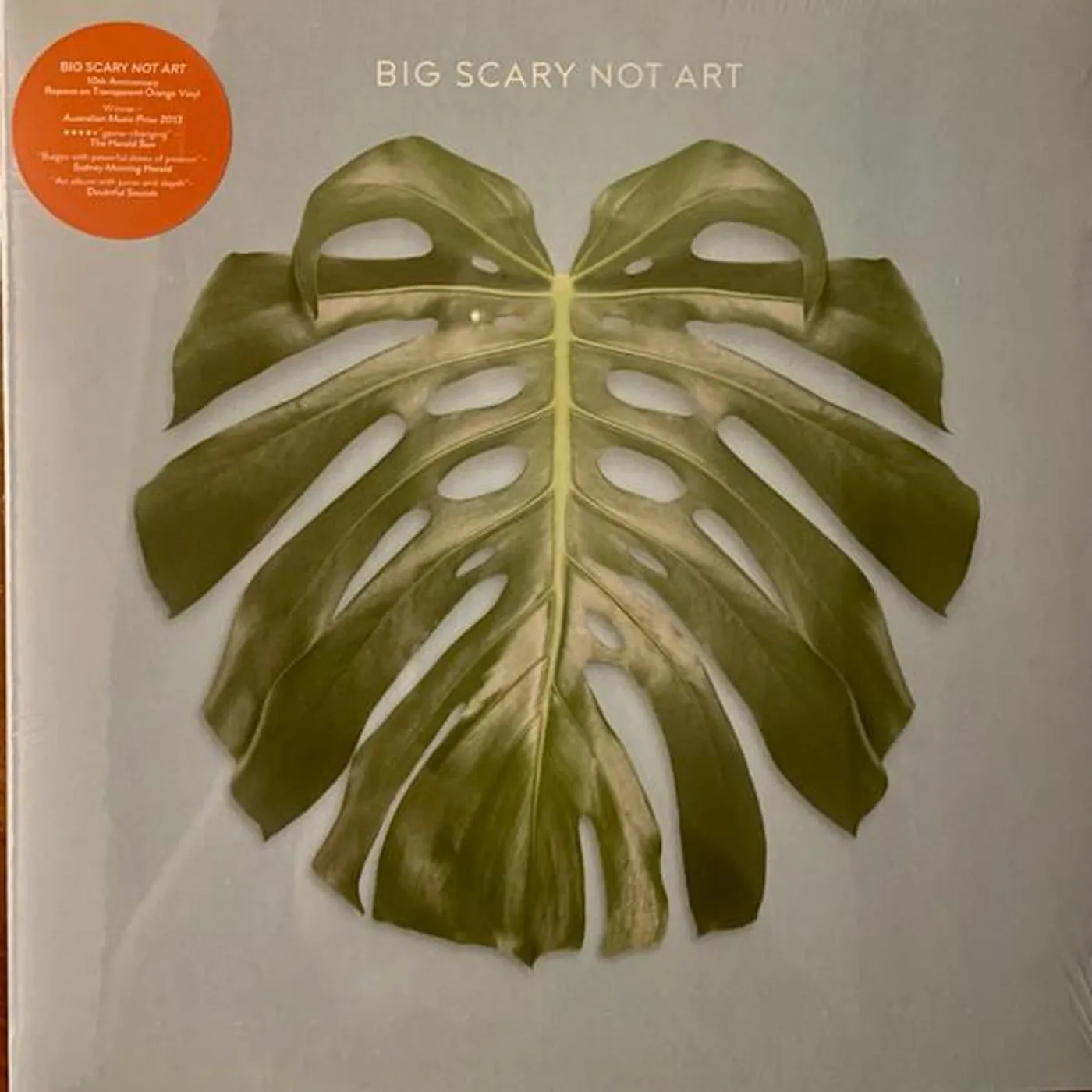 Big Scary NOT ART Vinyl Record