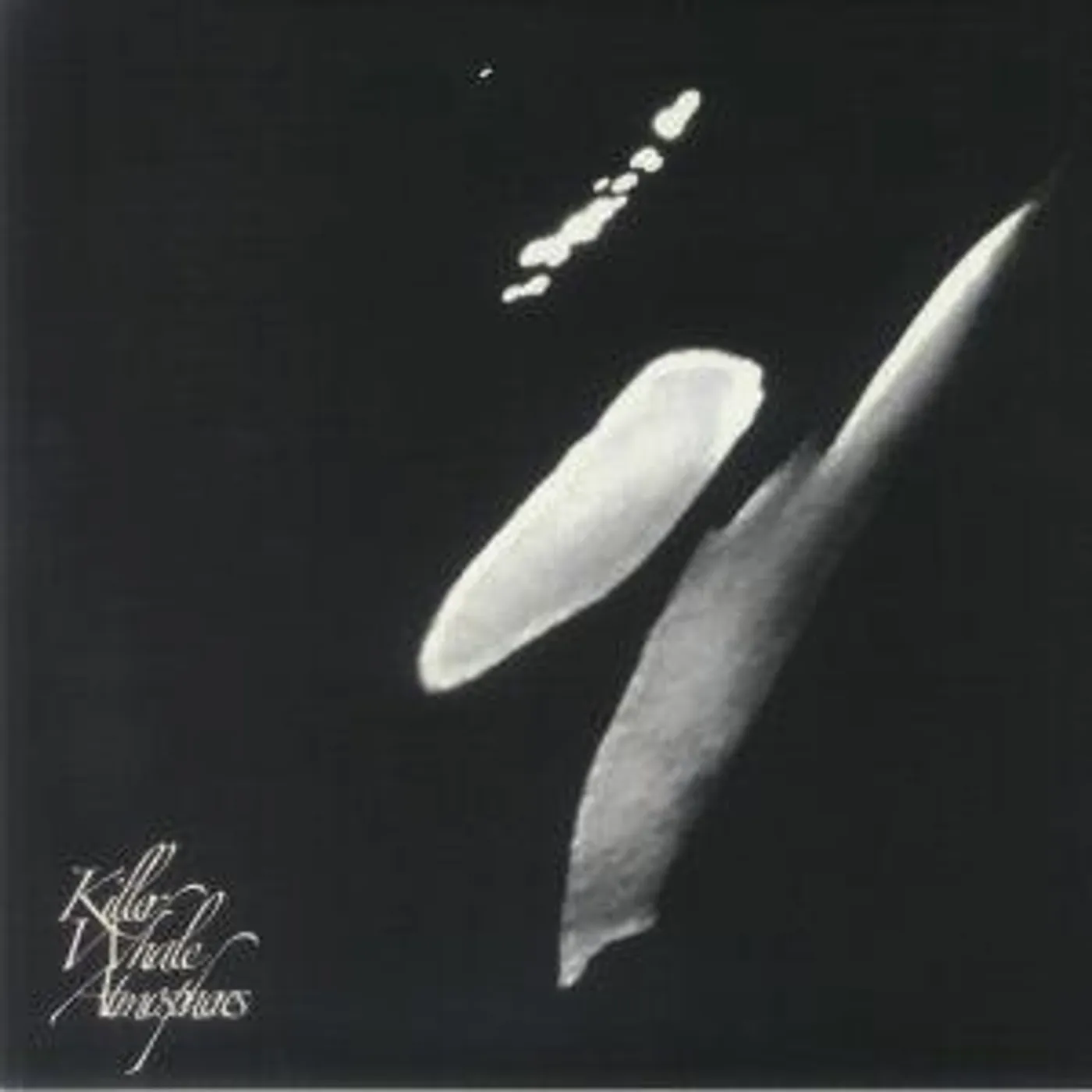 Rainforest Spiritual Enslavement KILLER WHALE ATMOSPHERES Vinyl Record