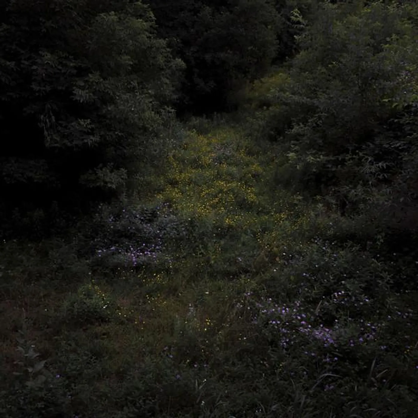 Fireworks Higher Lonely Power (Cloudy Black) Vinyl Record