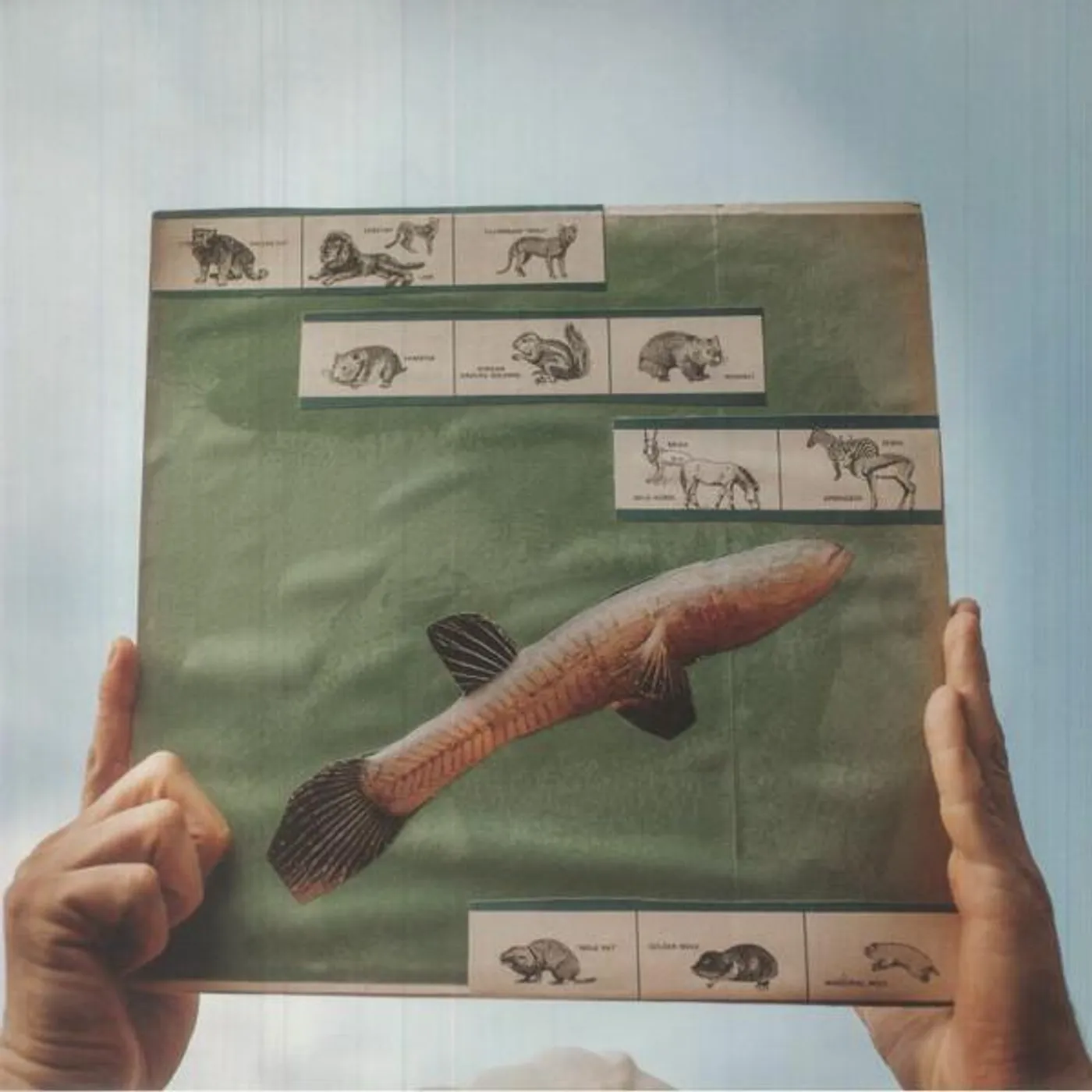 Cotton Jones RIVER STRUMMING (180G) Vinyl Record