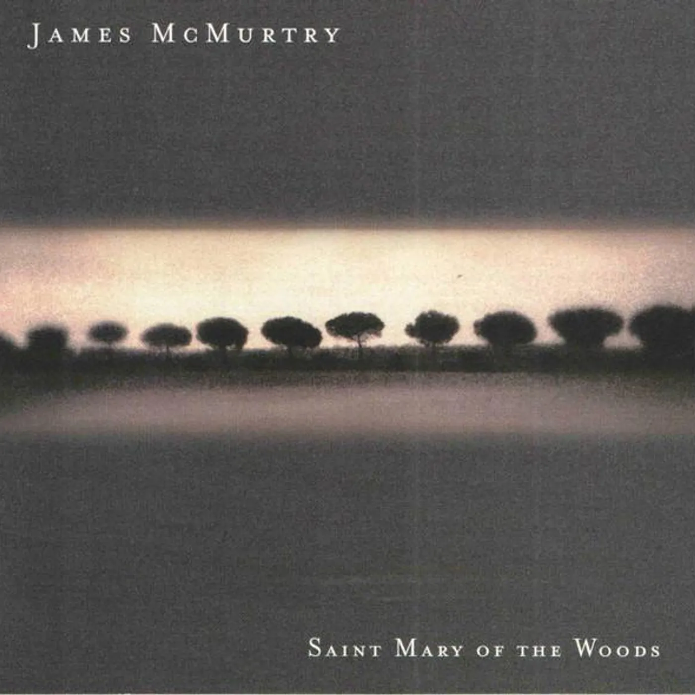 James McMurtry SAINT MARY OF WOODS CD