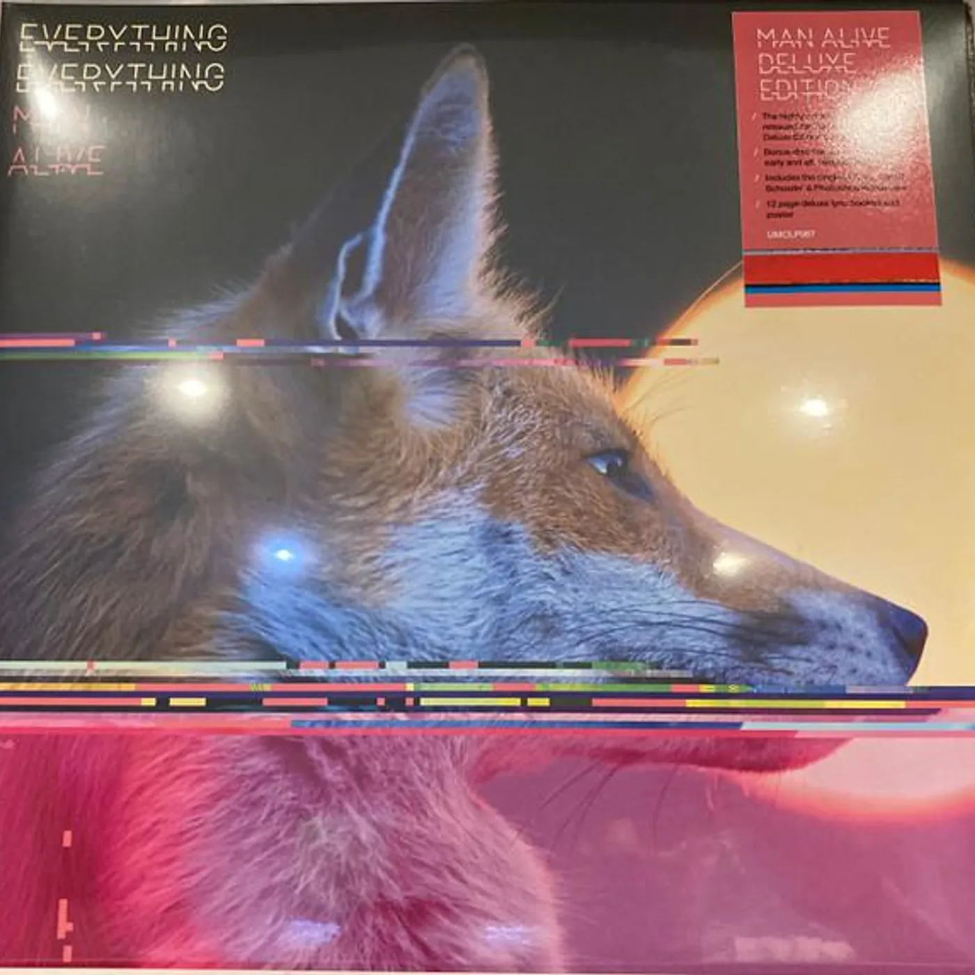Everything Everything MAN ALIVE (DELUXE EDITION) (2LP) Vinyl Record