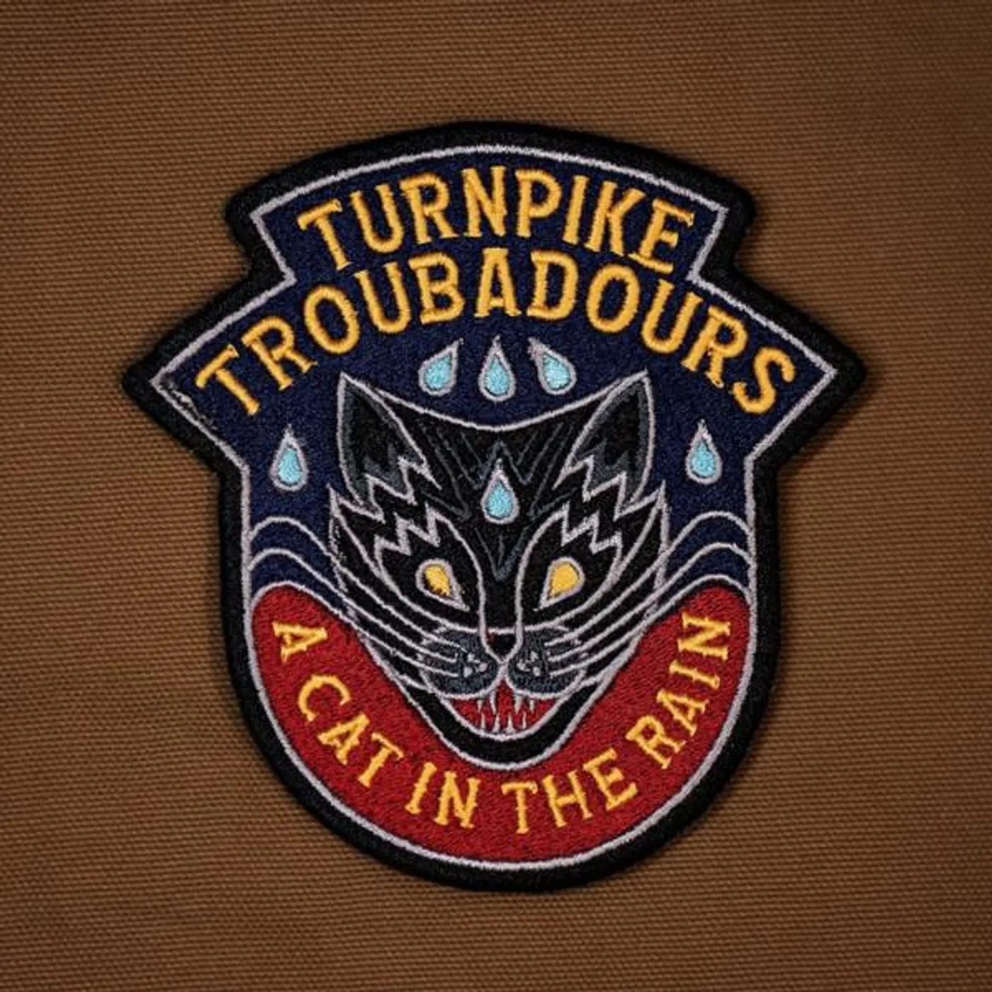 Turnpike Troubadours CAT IN THE RAIN CD